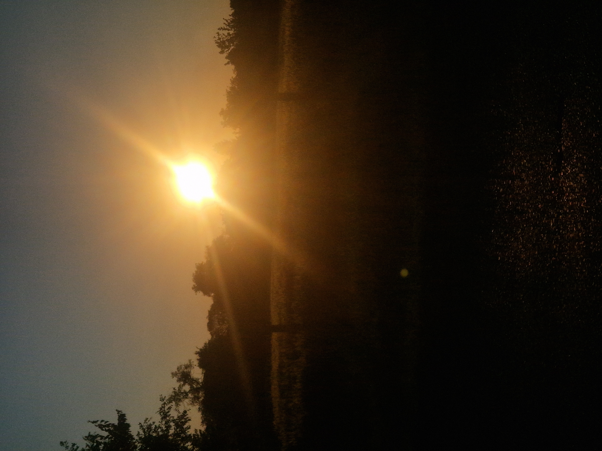 The image depicts a sunset over a field with trees silhouetted against the bright sky. The sun is the dominant light source, casting a warm orange glow and creating a lens flare. The foreground is dark, showing a rough surface, possibly asphalt with some texture. The middle ground features a field of tall grass or crops, with indistinct trees forming a treeline in the background. The sky transitions from a pale blue at the top to a hazy orange near the horizon. The location, Ustyvytsia, Ukraine, is not visually represented in the image itself, as there are no discernible landmarks or elements specific to that location. The scene is natural and rural, with no people or specific objects of interest visible. The overall impression is one of a quiet, natural landscape at dusk.