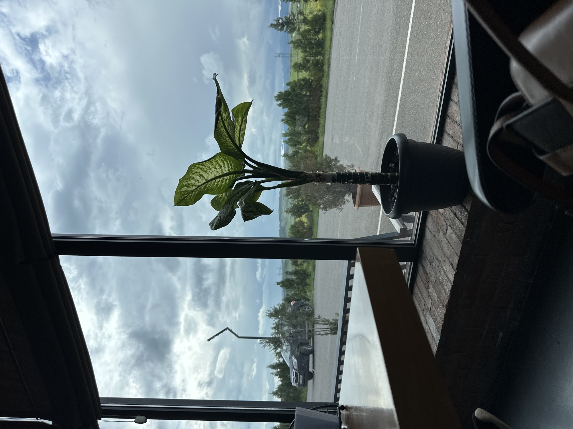 A medium, angled shot depicts a potted Dieffenbachia plant positioned in front of a window. The window frames a view of an outdoor scene, including a parking lot, trees, rolling hills, and a cloudy sky. A dark-colored vehicle and street lamp are visible through the reflection in the window. The location is Marneuli, Georgia, based on the visible elements. The composition includes interior architectural details, with a brick wall and parts of dark-toned furniture in the foreground.