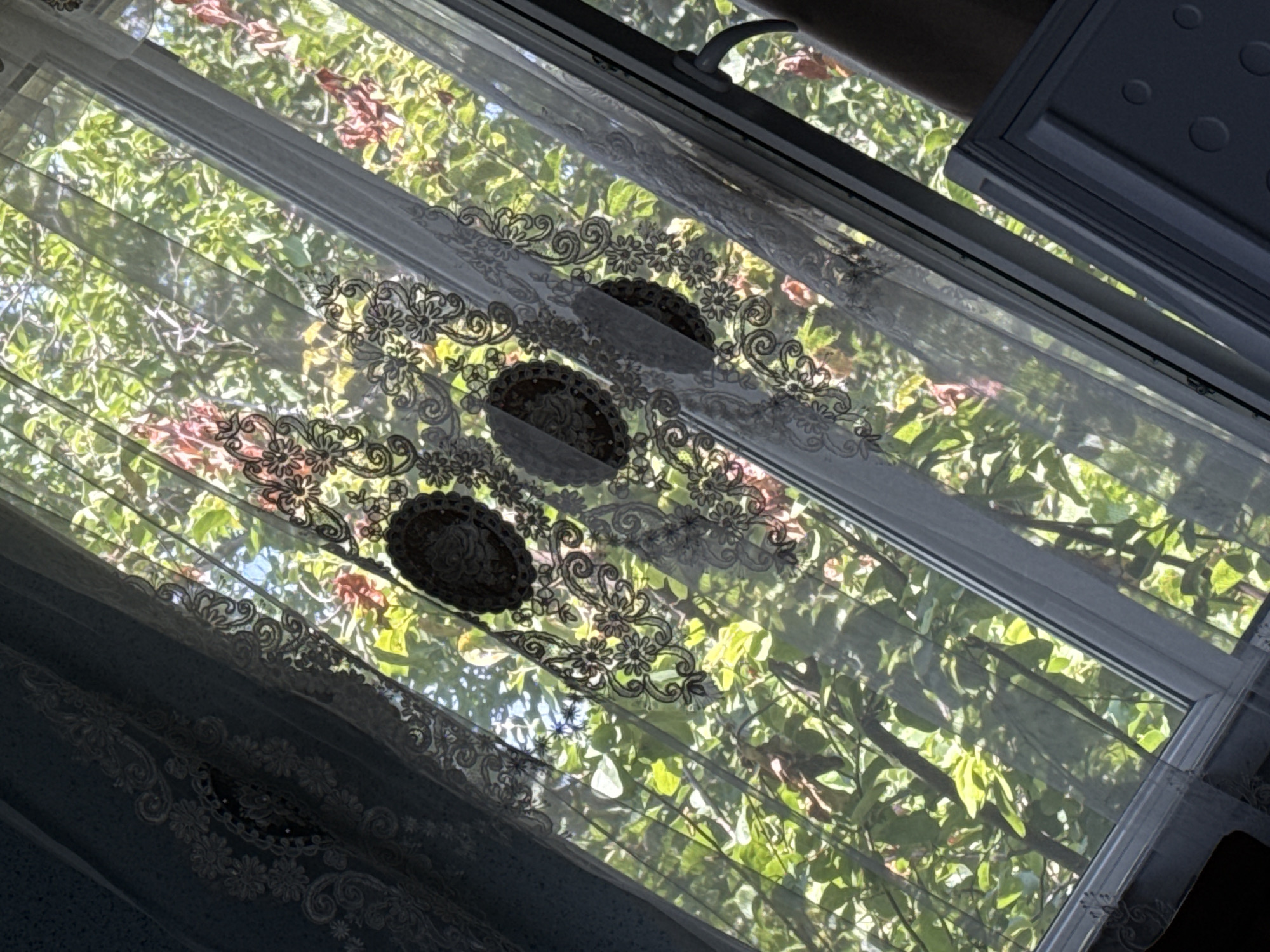 The image shows a window with curtains partially obscuring a view of lush green foliage. The curtains are sheer and feature an ornate lace pattern with circular motifs. Sunlight streams through the window, casting dappled shadows on the leaves outside. The view suggests a natural, possibly residential or park-like setting. There are no visible people or identifiable structures within the outdoor scene. The interior side of the window frame, a window handle, and a portion of a white cabinet or furniture are visible in the foreground. This scene is consistent with a view from a window in Kosh, Armenia, a community known for its green spaces and residential areas.
