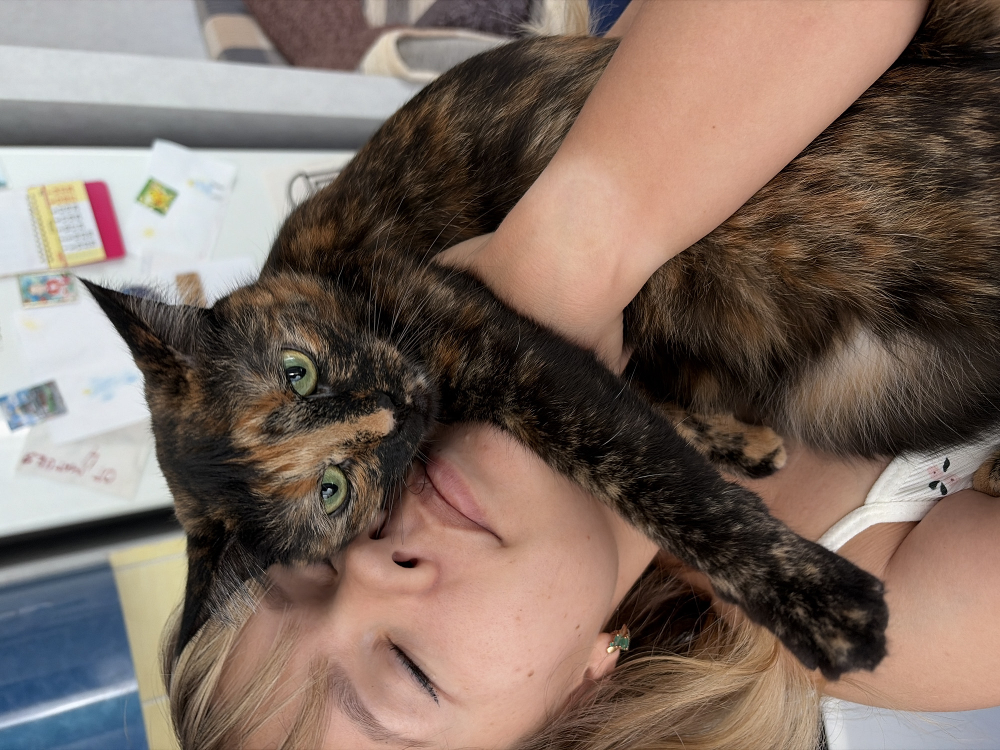 A tortoiseshell cat with green eyes is lying on a woman's face. The woman has blonde hair and closed eyes. Her arm is draped over the cat. The background includes a countertop covered in small items, with objects such as a notebook and stamps. The exact location in the city of Chaikovsky, Russia, is not discernible from the image.