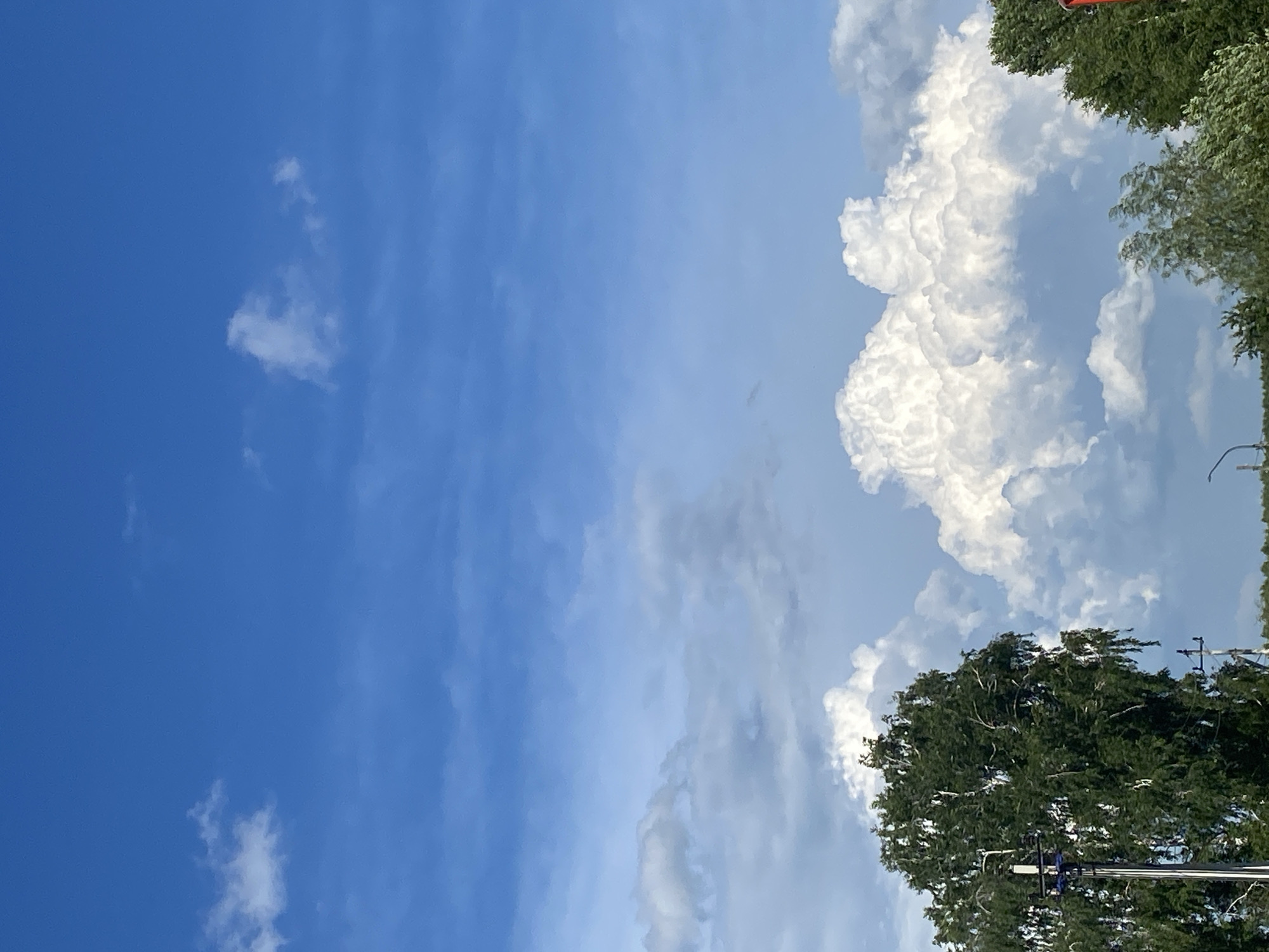 This is a vertical, eye-level, outdoor photograph captured on a clear day in Chaikovsky, Russia. The dominant features of the image are the bright blue sky, dotted with scattered white clouds, and the tops of several green trees. The clouds are most prominent in the lower half of the frame, with some appearing fluffy and white, while others are more diffuse and greyish, suggesting they are further away or at a different altitude.
In the lower left corner, a tall, leafy green tree, possibly a birch due to its slender trunk and light-colored bark visible at the top, takes up a significant portion of the frame. A dark utility pole with some electrical equipment attached is positioned in front of this tree. To the right and further back, more green trees are visible, their foliage appearing dense. In the far right of the frame, the top of another tree with dark green leaves is visible.
The sky is a vivid blue, with wispy cirrus clouds present in the upper portion and more substantial cumulus clouds lower down. The lighting suggests it is daytime, likely late morning or afternoon, with the sun illuminating the clouds from above and to the right. The overall impression is one of a natural landscape within or on the outskirts of a city, with the sky and trees being the primary focus. No people or specific landmarks of Chaikovsky are identifiable in this particular frame.