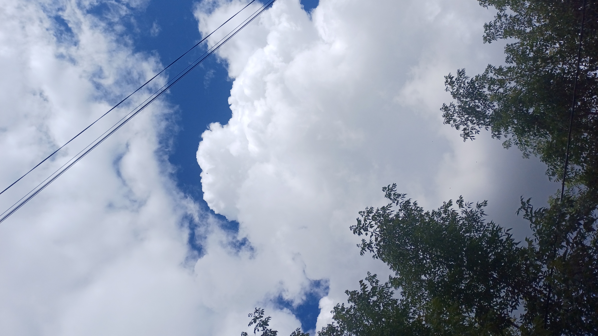 The image depicts a sky scene with fluffy white clouds against a bright blue sky. Three dark power lines diagonally traverse the upper right portion of the frame. The bottom portion of the image is filled with the dark green foliage of trees, with their branches reaching upwards. The overall impression is of a partly cloudy day, with trees framing the sky. The image does not contain any discernible landmarks or features that would allow for identification of a specific location within the city of Izhevsk, Russia, or any other city. There are no people, subjects, objects, or actions visible that would suggest a particular context or narrative.