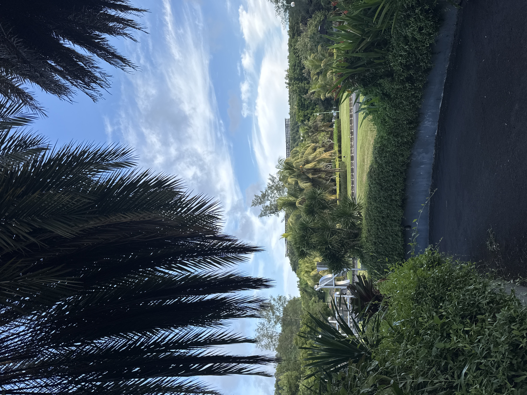 The image shows a view in Pecatu, Indonesia, featuring a blue sky with streaky white clouds framed by dark palm tree fronds on the left. The scene transitions to a green landscape on the right, including dense foliage, palm trees, a manicured lawn, a row of small trees or bushes, and a paved asphalt path. At a distance, what appears to be a structural metal fence and light poles are visible in the background. The photo is oriented vertically.