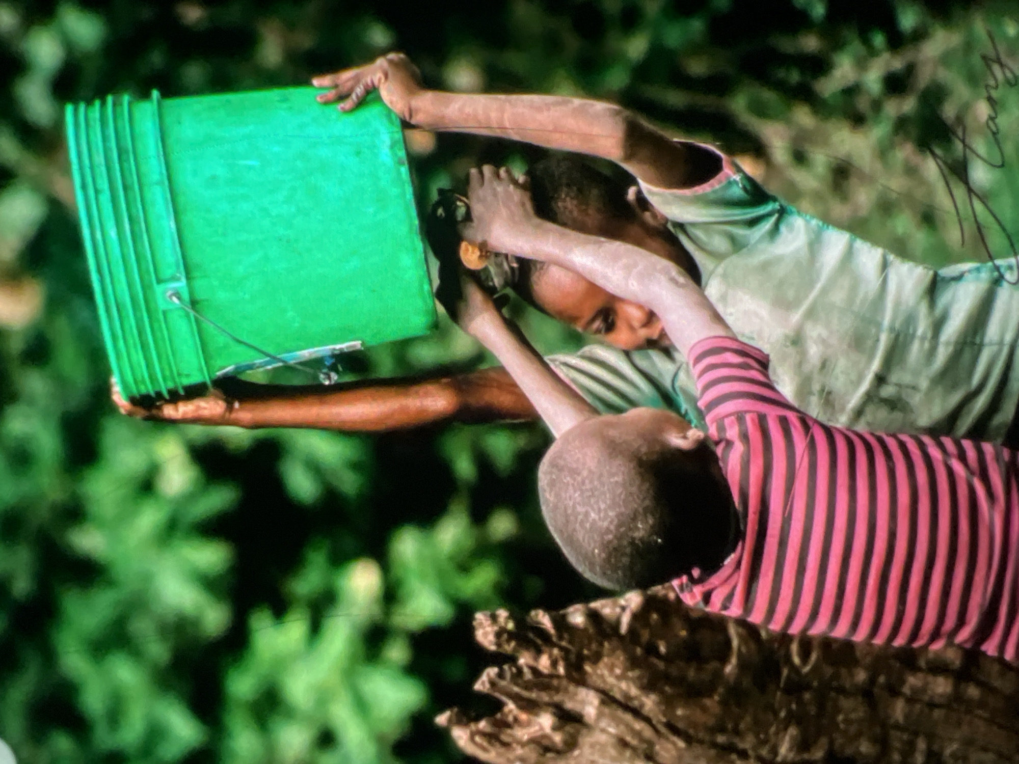 Two young children, one in a pink and black striped shirt and the other in a green shirt, are lifting a large, bright green plastic bucket. The child in the striped shirt is positioned in front, facing away from the camera, with their head down. The child in the green shirt is behind and to the right, reaching up to help carry the bucket. Both children appear to be straining to lift the heavy object. The background consists of lush green foliage, suggesting an outdoor setting. To the left of the children, a rough, textured tree trunk or stump is visible. The lighting suggests it is daytime. The overall scene conveys a sense of effort and cooperation. The location is not discernible from the image itself, and therefore, cannot be specified as Lagos, Nigeria, or any other city.