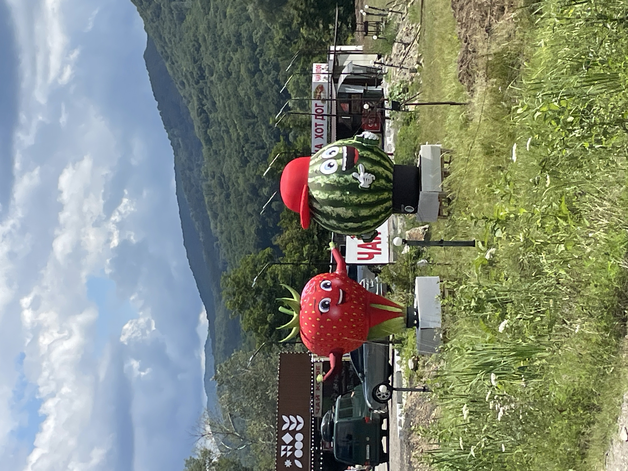 The image depicts a roadside scene in the village of Moldavanovka, Russia. In the foreground, two large, anthropomorphic fruit figures stand on pedestals. The figure on the left is a red strawberry with a smiling face, outstretched arms, and holding small green balls in its hands. The figure on the right is a green watermelon wearing a red baseball cap, also with a smiling face and a gesturing hand. Behind the figures, a row of small kiosks or shops is visible. One kiosk has Cyrillic text above its entrance. Several vehicles, including a green van and a grey sedan, are parked in front of the kiosks. The background features a lush, tree-covered mountainside under a cloudy sky. The overall environment suggests a rural or semi-rural setting, possibly a rest stop or market area along a road.
