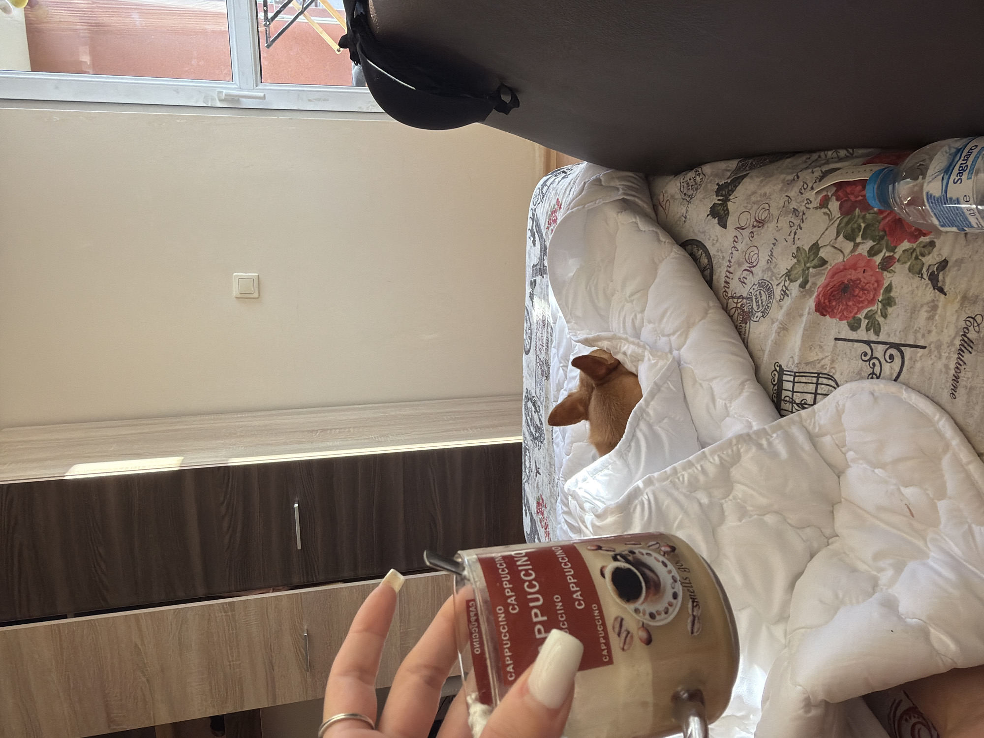 An indoor, eye-level, medium shot captures a woman's hand holding a glass of cappuccino next to a dog nestled under a white duvet on a bed. The dog, a small, light brown breed, is mostly concealed by the duvet, with only its head and ears visible. The glass of cappuccino is filled to the brim with a creamy beverage and features a label with "Cappuccino" printed repeatedly. The bed is covered with a white duvet and a patterned sheet depicting roses and text. To the left, a portion of a wardrobe with a wood-grain finish is visible. The background shows a lightly colored wall with a light switch and a window with a view of an outdoor area with orange-tinted structures and what appears to be a clothes rack. A dark brown sofa is present on the right side of the image, with a black bra draped over it. A partially visible bottle of Saguaro water is on the right side of the bed. The scene is well-lit, suggesting it is daytime.