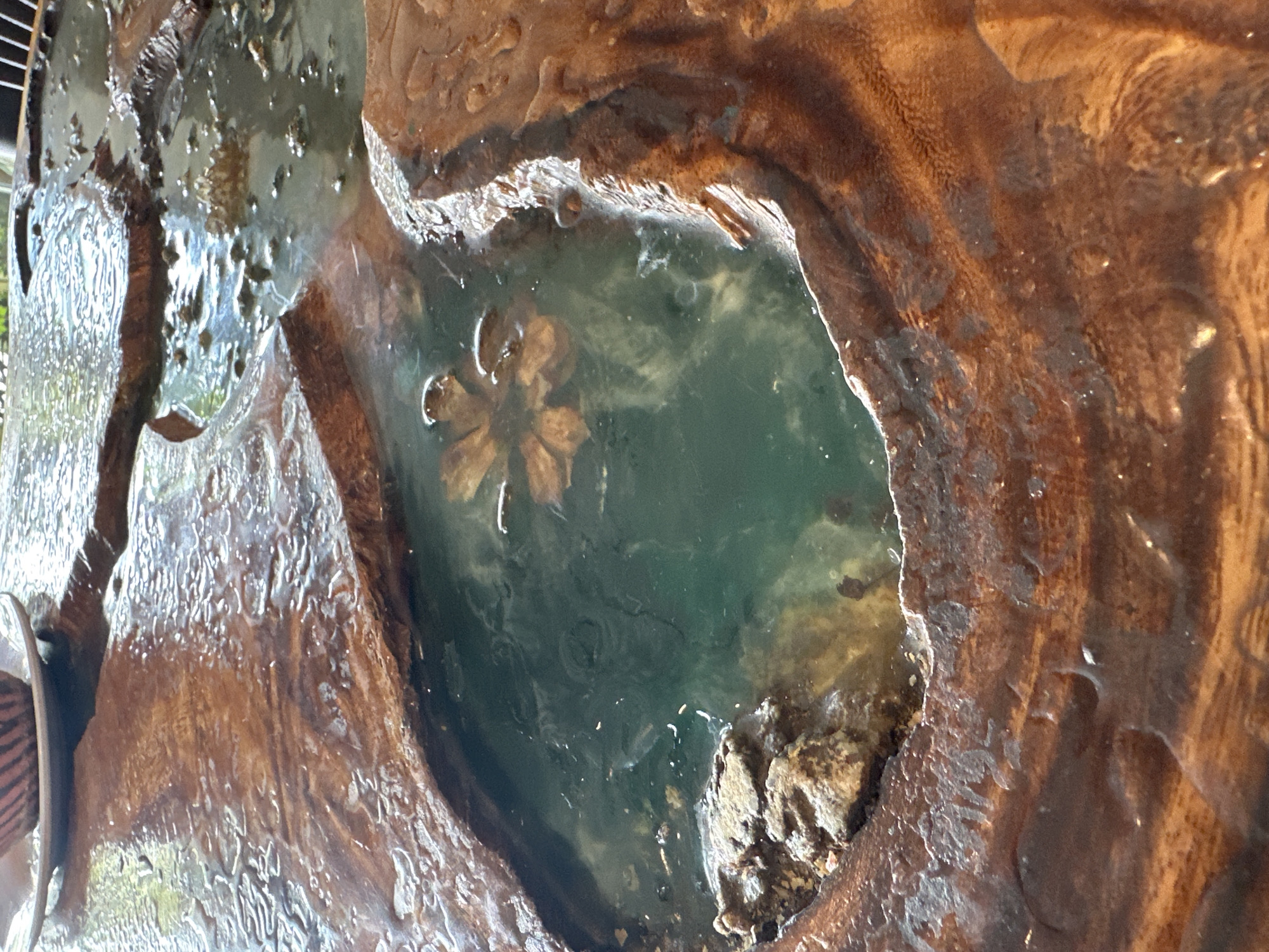 A close-up, high-angle shot shows a carved wooden table with a natural, rough-hewn design. The table has irregular depressions filled with water, creating a naturalistic effect. In one of the depressions, a single, light-colored flower floats on the surface of the dark, greenish water. The wood's surface is wet and reflects light, highlighting its texture and natural grain. The overall impression is of an art installation or a unique piece of furniture found in an outdoor setting or a location with a connection to nature, possibly in Bac Nha Trang Ward, Vietnam, given the context. The scene is static and peaceful.