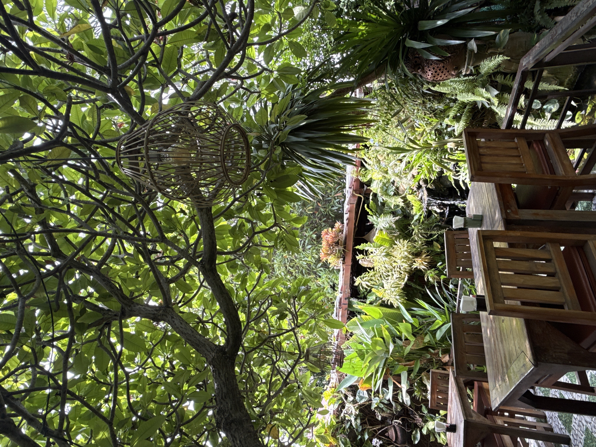 This is a low-angle, vertical-format photograph of a lush, green outdoor seating area, likely a restaurant or cafe. The scene is dominated by dense tropical foliage, with large, leafy branches of a tree in the foreground obscuring the sky. Hanging from one of these branches is a decorative, woven wicker light fixture.
To the right, wooden tables and chairs are arranged, suggesting a dining or seating area. The tables appear wet, possibly from recent rain or watering, and small white candles or lights are placed on some of them. In the background, more greenery is visible, including ferns, broad-leafed plants, and possibly some ornamental grasses. There's also a glimpse of what looks like a water feature or pond, with water flowing over rocks. The overall impression is one of a serene, verdant, and slightly humid tropical environment.
The lighting suggests it is daytime, possibly overcast or under dappled shade from the dense canopy. There are no people visible in the frame. The image's composition and the abundance of plants create a sense of being immersed in nature. The location context of Baan Lamai, Thailand, reinforces the tropical, outdoor setting. No visible text is present in the image.