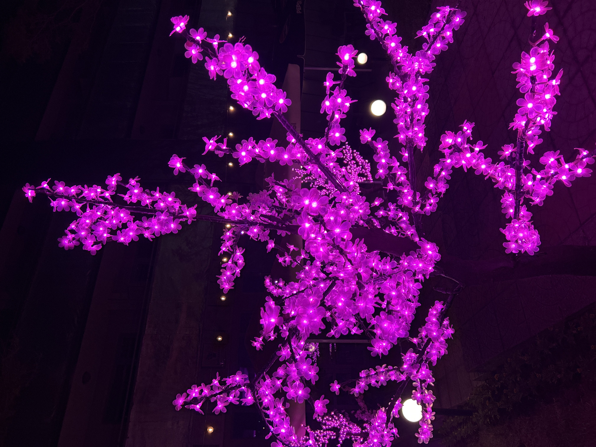 The image shows a tree-like structure adorned with numerous small, glowing purple flowers, likely LED lights. The setting appears to be outdoors at night, with dark surroundings possibly indicating a park or urban area. There are some background light features, with building structures barely visible in the background. The location is Unknown, Unknown.