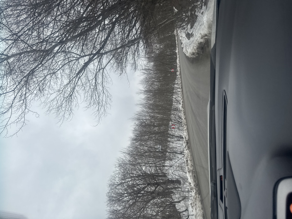 The image depicts a winding asphalt road through a snow-covered, wooded area in Tskhvarichamia, Georgia, viewed from inside a vehicle. The foreground shows the top of a vehicle dashboard, indicating the perspective of a driver or front-seat passenger. The road appears wet in places and has accumulated snow along its shoulders, forming banks on both sides. Bare deciduous trees with no foliage line the road, extending up the slopes on either side and receding into the background under an overcast, grey sky. Two red-and-white chevron signs, indicating a sharp curve to the left, are visible on the left side of the road as it recedes. No people or animals are present.