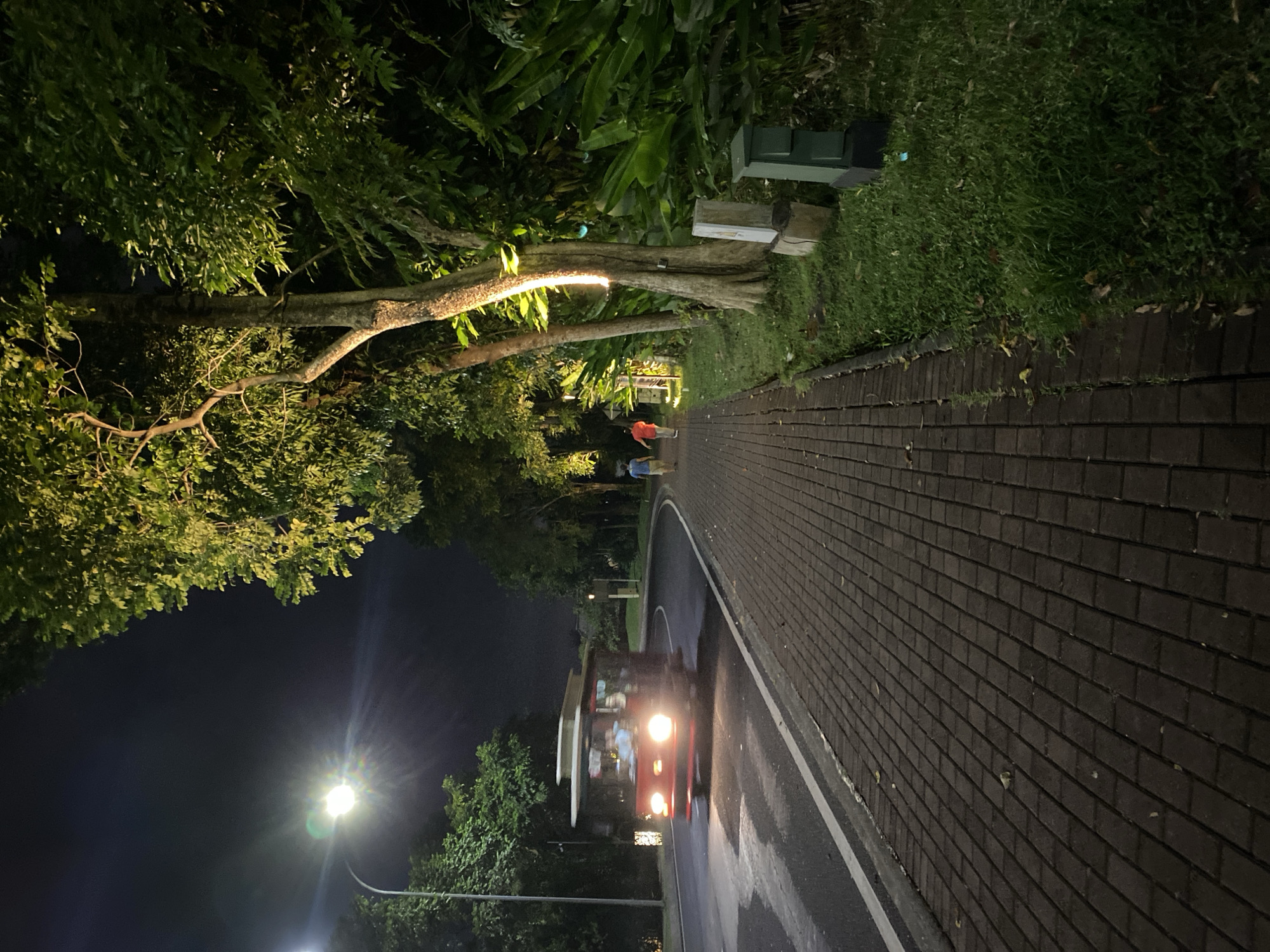 An outdoor, nighttime scene depicts a red, open-air trolley car moving along a paved road on the left. The trolley has its headlights on, illuminating the wet road surface. On the right side of the road, a brick pathway runs parallel to the road, bordered by a grassy area. Two individuals are walking away from the viewer on the brick pathway. Beyond the pathway, tall trees with lush green foliage are visible, some illuminated by strategically placed lights, creating a dramatic effect against the dark sky. The environment appears to be a well-lit street or path within a developed area, likely a resort or park in Kuta Selatan, Indonesia, given the tropical vegetation.