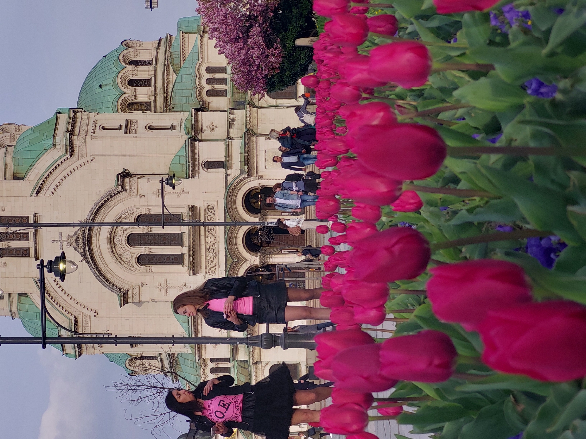 The image, when correctly oriented, captures an outdoor scene dominated by a grand, ornate church building and a vibrant display of flowers. The church, constructed from light-colored stone, features multiple distinctive green domes and roofs, adorned with intricate architectural details, arched windows, and decorative cornices.
In the immediate foreground, a dense bed of brilliant pink tulips stretches across the frame, with some flowers in sharp focus and others softly blurred, creating a sense of depth. Scattered among the tulips are smaller clusters of purple flowers. To the left of the church, a tree with striking purple blossoms adds another splash of color to the scene.
Several people are visible throughout the image. In the mid-ground, two women stand prominently. One woman, with long dark hair, wears a black leather jacket over a bright pink top, standing near a black street lamp. The other woman, also with dark hair, is dressed in a black top featuring white text and a black skirt. The visible text on her top includes the letters "O.E." within a circular design, with additional, partially obscured words below it. In the background, nearer to the church's main entrance, more people are seen walking or standing.
The sky is a clear, light blue, indicating fair weather, likely during daytime. The abundance of blooming tulips and the blossoming tree suggest a spring season. The setting appears to be a public area or square adjacent to a significant religious structure. No strong emotions are overtly expressed by the individuals, who seem to be casually observing their surroundings or passing through.