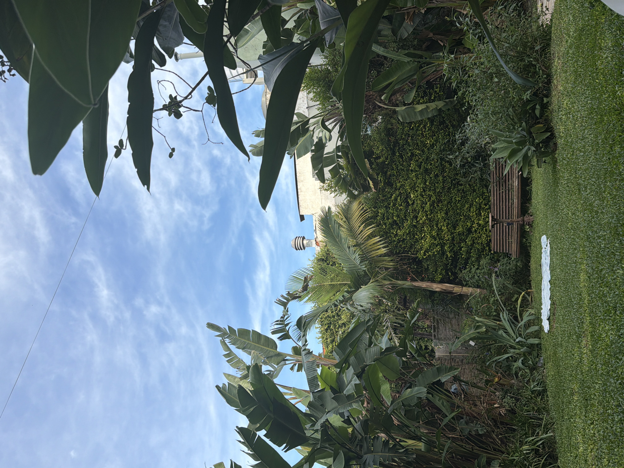 The image shows a view of a garden in Vicente López, Argentina, framed by large green leaves. A blue sky with streaky clouds is visible through the foliage. In the background, there's a dense green hedge, a wooden bench, and a strip of well-maintained lawn with a white object placed on it. A structure with horizontal stripes is visible above the hedge.