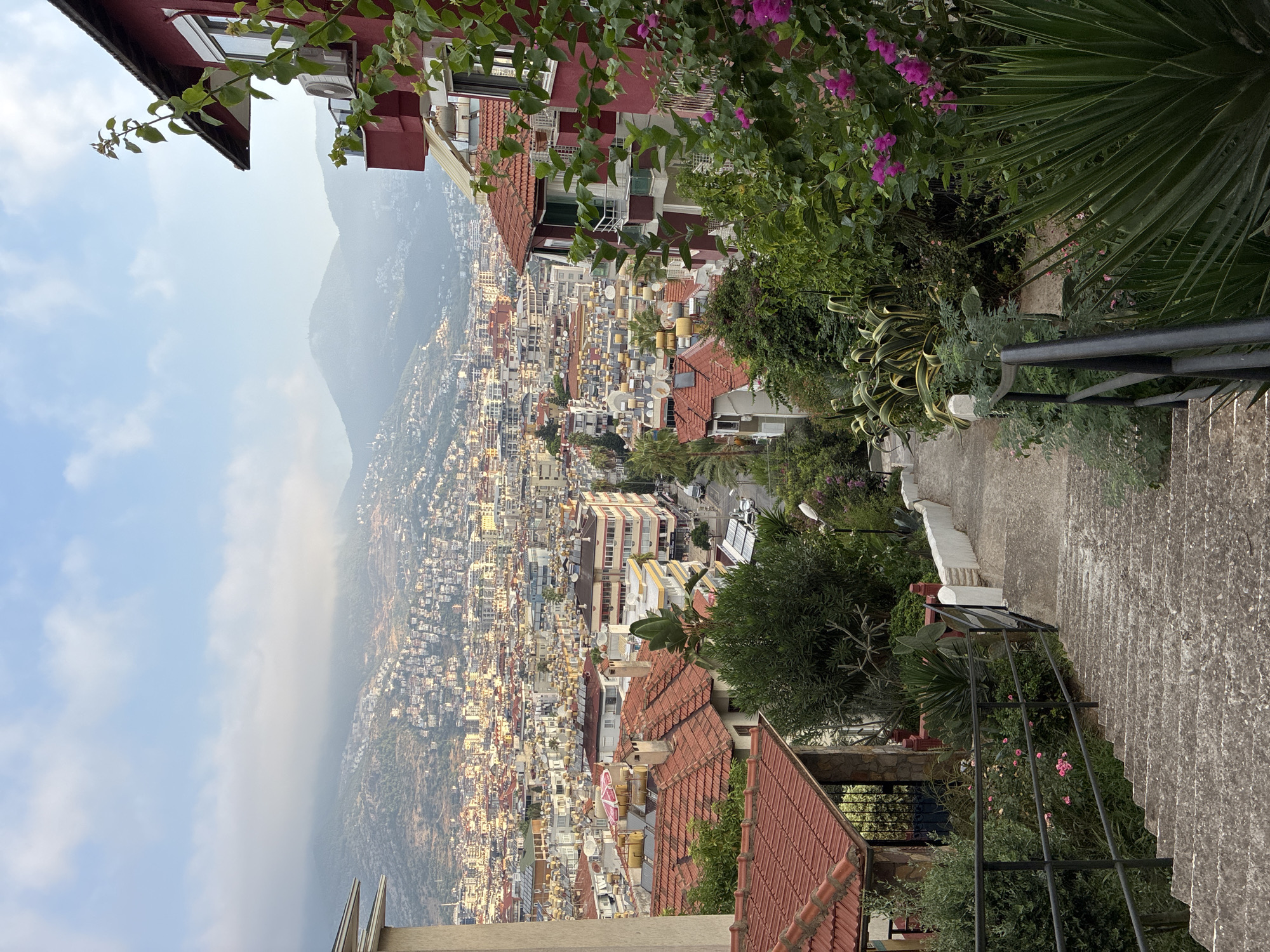 The image depicts a steep, concrete staircase descending through a residential area overlooking the city of Alanya, Turkey. The staircase is bordered by metal railings and lush green vegetation, including flowering plants with vibrant pink blossoms and large, spiky succulent plants. In the foreground, part of a building with a red facade and a balcony is visible, adorned with green foliage.
Beyond the immediate staircase and greenery, the scene opens up to a sprawling cityscape characterized by numerous buildings with red-tiled roofs, typical of Mediterranean architecture. The city extends towards the base of a large mountain range, which is partially shrouded in clouds and mist, particularly near its summit. Solar water heaters are visible on many rooftops, a common sight in the region. The overall impression is a high-angle view from a hillside property looking down onto the densely populated urban landscape. The light suggests it is either early morning or late afternoon, given the warm tones of the city and the soft lighting on the mountains. No people are visible in the frame.