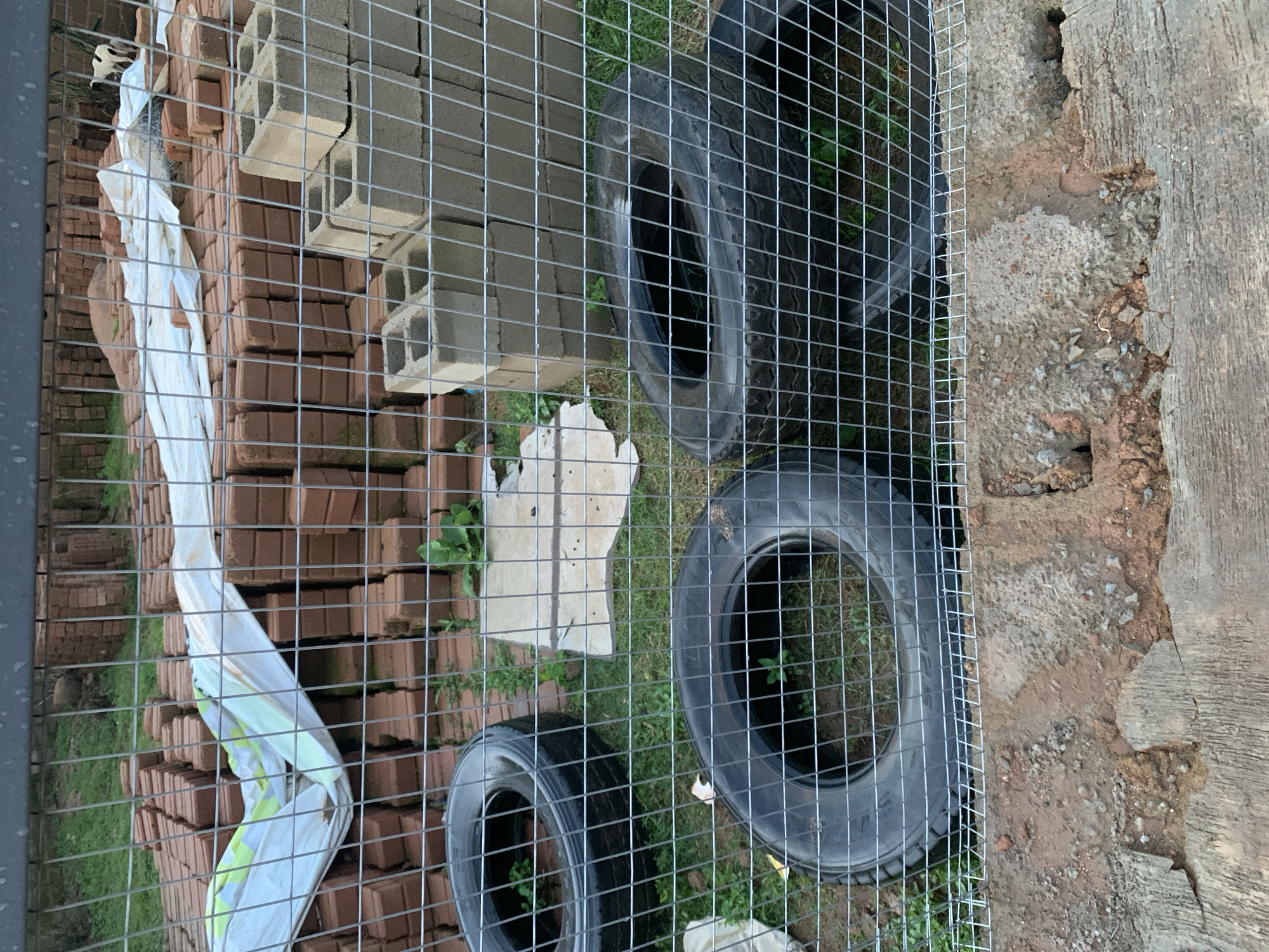 An outdoor scene behind a wire fence shows stacks of red bricks, concrete blocks, and two tires. A white tarp is draped over some of the bricks. A small dog is visible in the upper right corner. The ground is covered with grass and dirt. The overall impression is one of construction or storage in a yard.