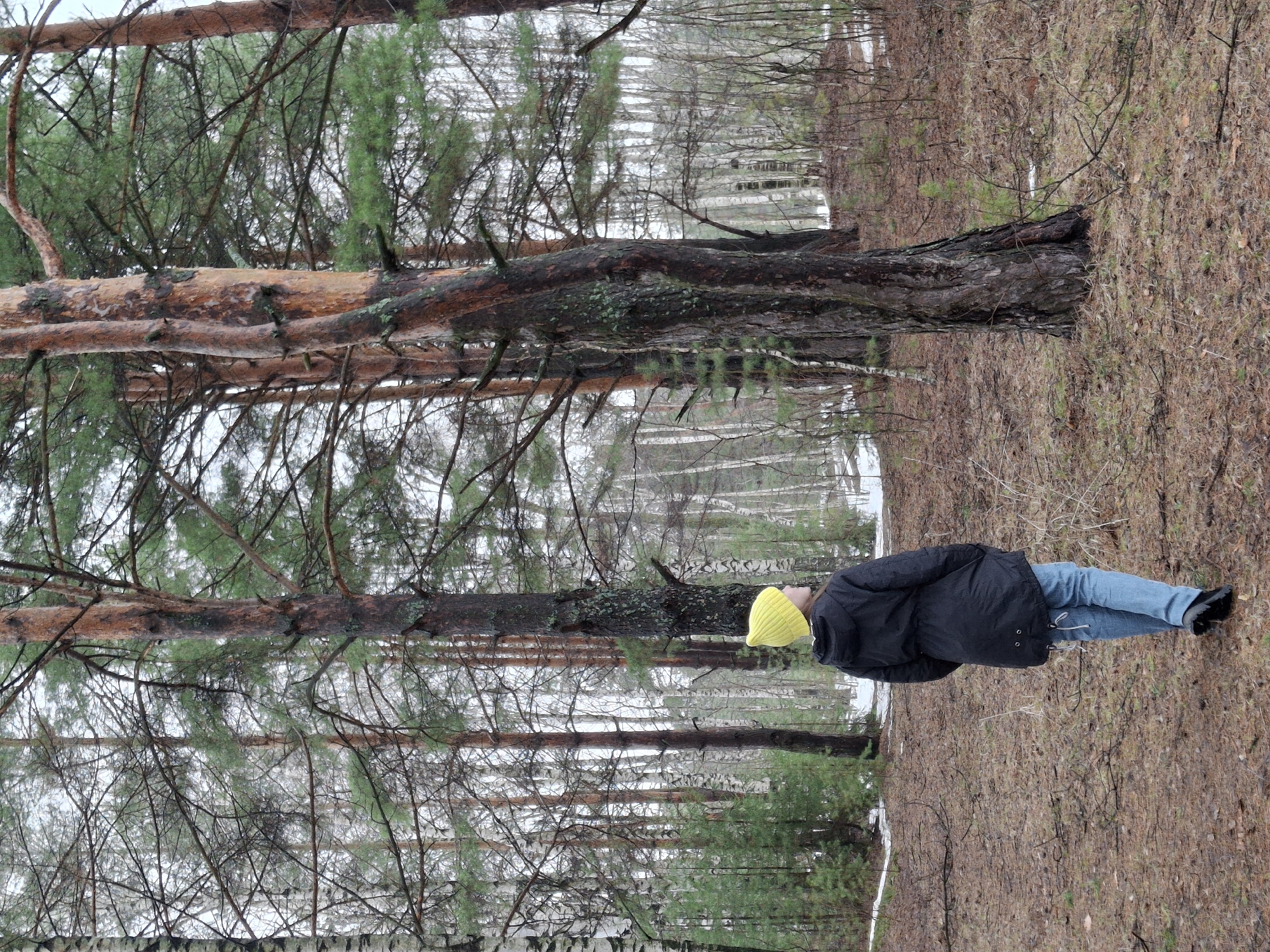 A person wearing a black jacket, blue jeans, and a yellow beanie stands in a forest. The ground is covered in brown leaves. Tall pine trees surround the person. The location is likely in the city of Chaikovsky, Russia, based on the prompt.