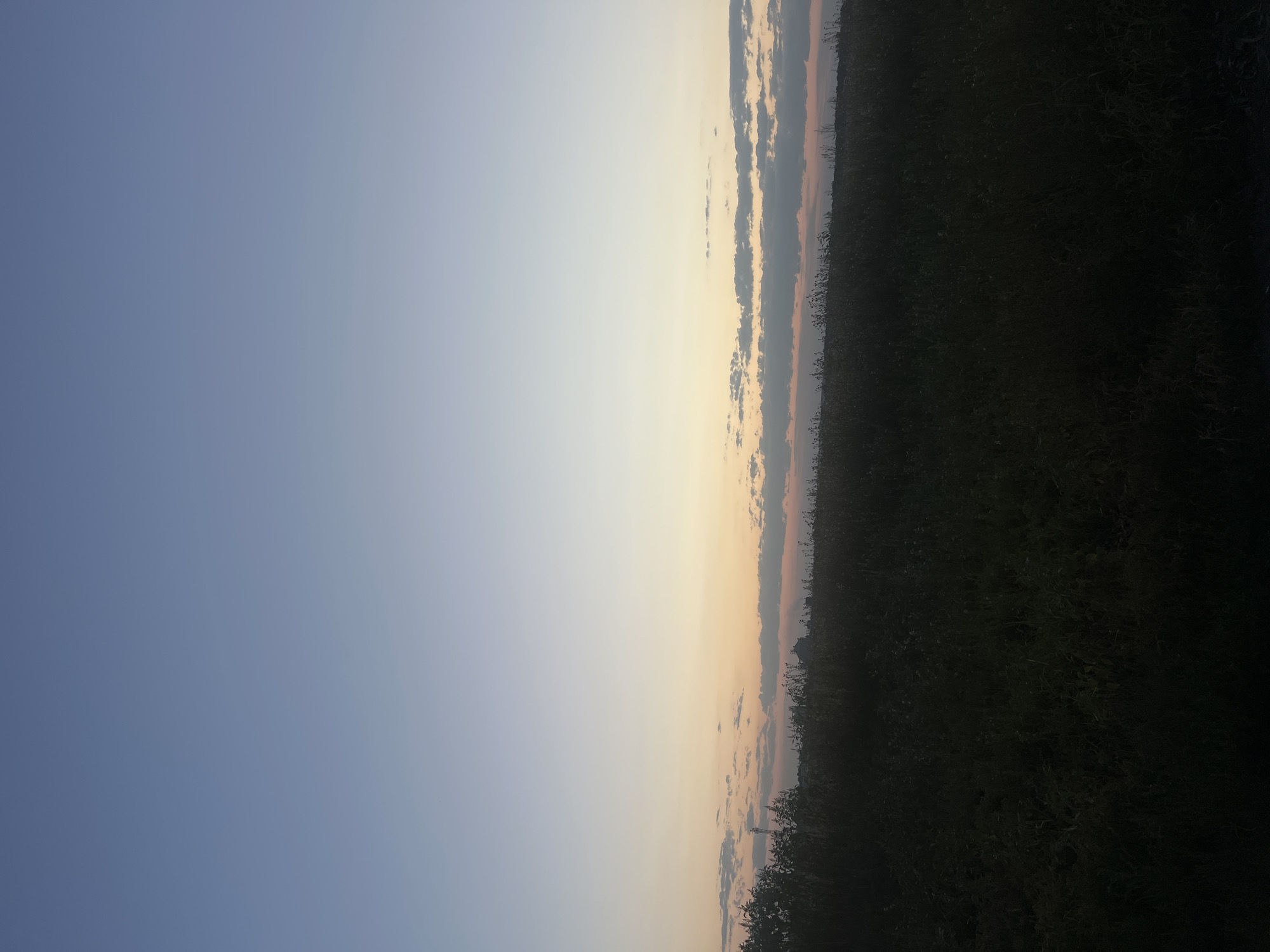 The image depicts a rural landscape at dusk, likely in the city of Нежинка, Russia. The sky transitions from a pale blue at the top to warmer hues of orange and pink near the horizon, indicating the setting sun. A line of dark, silhouetted vegetation, possibly trees and tall grass, forms the foreground and middle ground, obscuring details of the ground. In the distance, faint structures are visible against the darkening sky, suggesting a rural settlement or farm. The overall impression is one of a quiet, transitional moment at the end of the day.