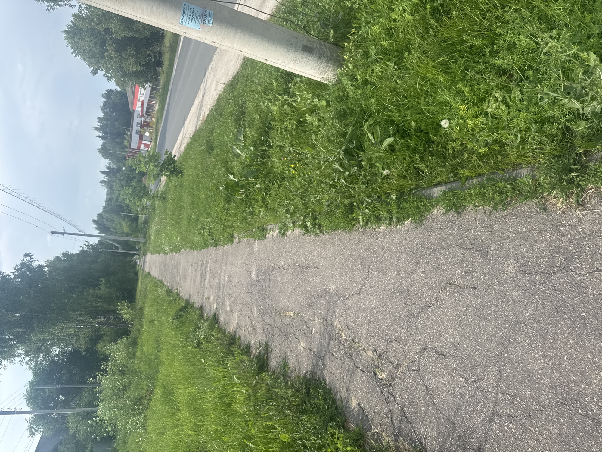 The image depicts a concrete sidewalk on the left, bordered by lush green grass. Beyond the sidewalk, a road is visible with a few buildings in the background. The sky is overcast. A utility pole stands on the right side of the sidewalk, with a poster attached to it. The scene appears to be in a semi-rural or suburban area. Based on the provided context, the location is identified as Красные Баки, Russia.