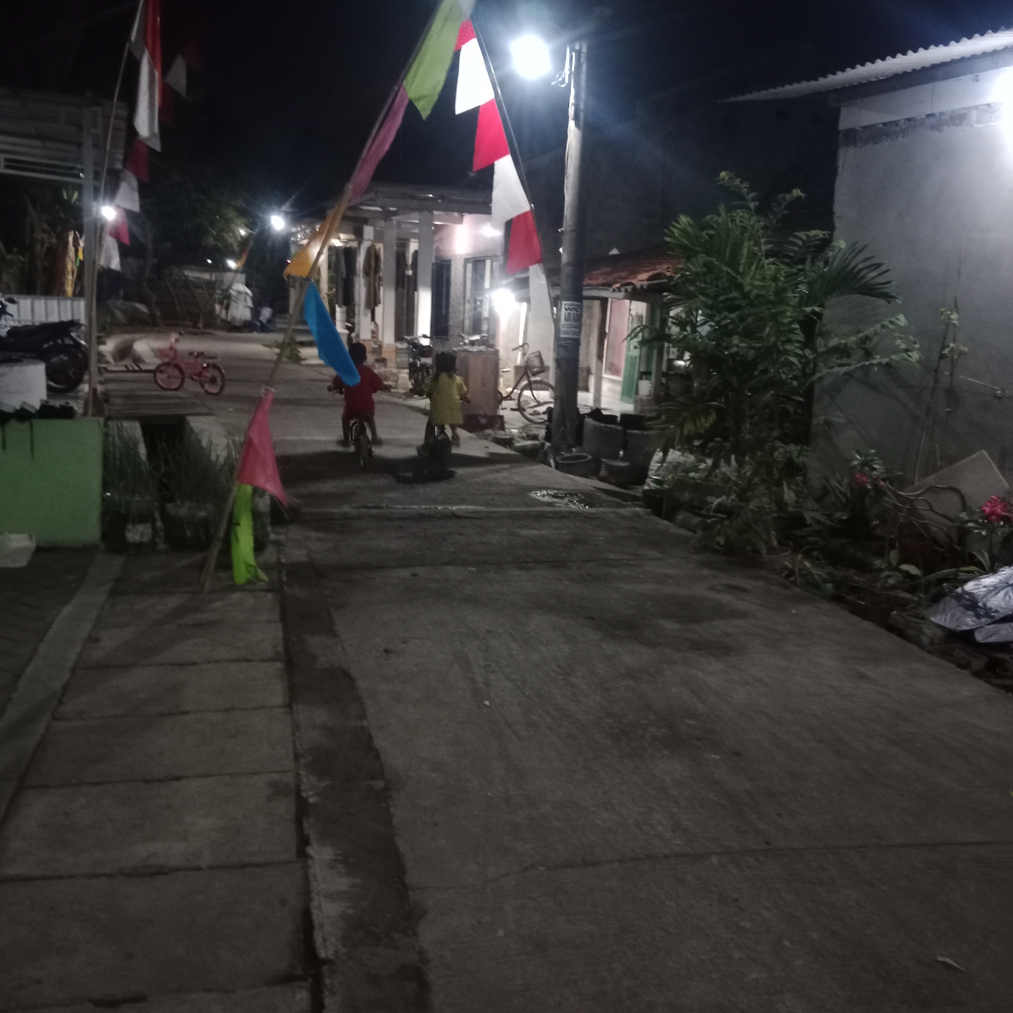 The image depicts a dimly lit street scene in Tegowanu Kulon, Indonesia, at night. The foreground is dominated by a concrete pathway with visible cracks and patches of moisture. To the left, a section of green-painted wall is visible, with a motorcycle parked behind it. A small pink bicycle is positioned on the pathway further into the scene.
In the middle ground, two children are riding bicycles. One child, wearing a red shirt, is on the left, and another child, in a yellow outfit, is on the right. Several Indonesian flags, in red and white, are strung up on poles across the street, catching the light from a nearby lamppost. The background shows the facades of buildings, some with corrugated metal roofs, and vegetation. A tall, dark lamppost stands prominently on the right side of the image. The overall atmosphere is quiet and residential, with the flags suggesting a possible local celebration or commemoration.