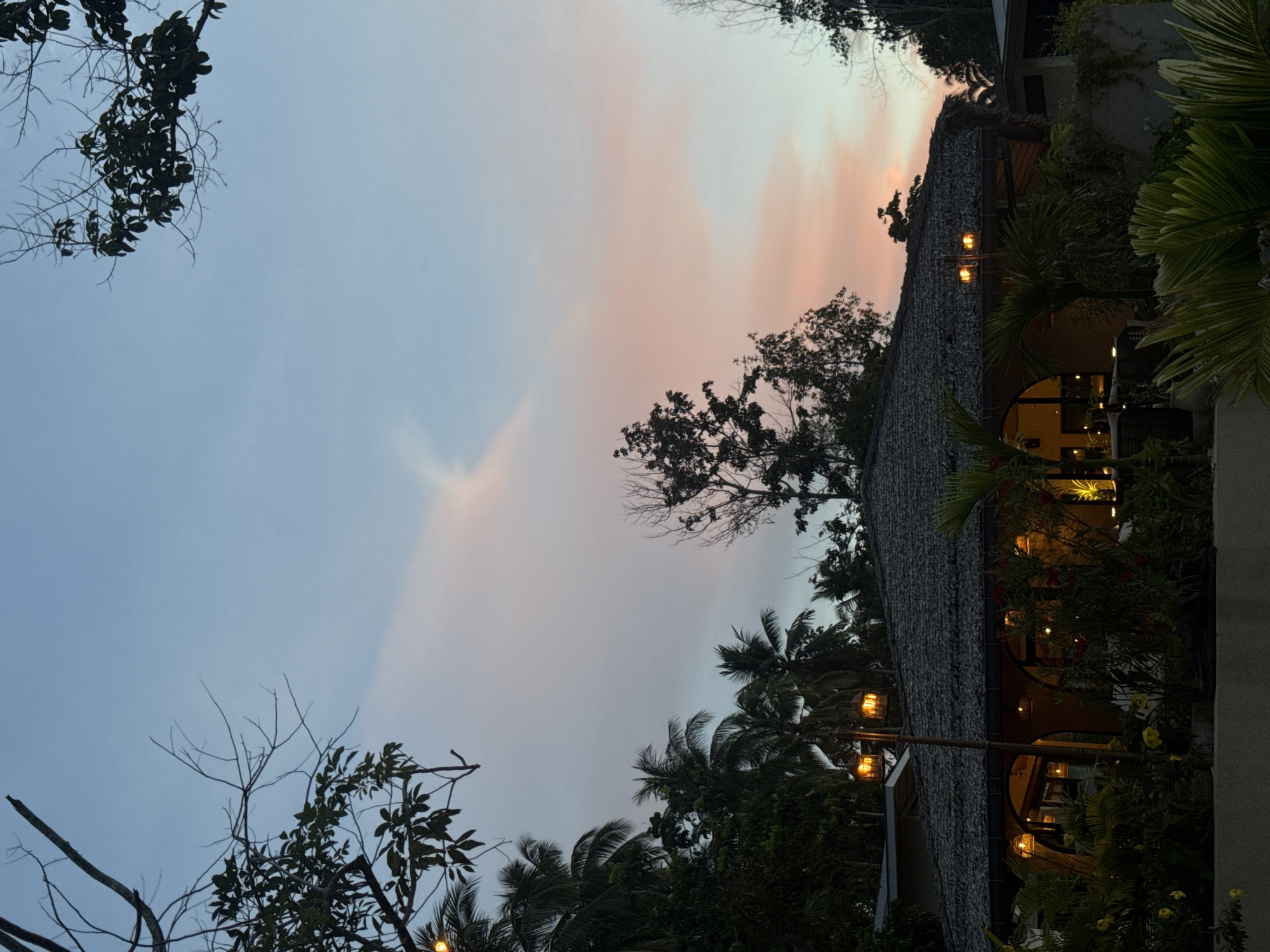 This is a twilight scene captured in the Ko Pha-ngan District of Thailand, showcasing a building with a thatched roof. The sky transitions from a soft blue to hues of pink and orange, indicating the sun has recently set. Palm trees and other foliage frame the structure, suggesting a tropical or subtropical environment. The building itself appears to be a resort or restaurant, with warm interior lights emanating from arched windows and doorways, illuminating the surrounding vegetation. Decorative lanterns are visible on poles outside, adding to the ambiance. The foreground is filled with lush greenery, including palm fronds and flowering plants, while bare branches of trees extend into the upper portion of the frame, silhouetted against the colorful sky.