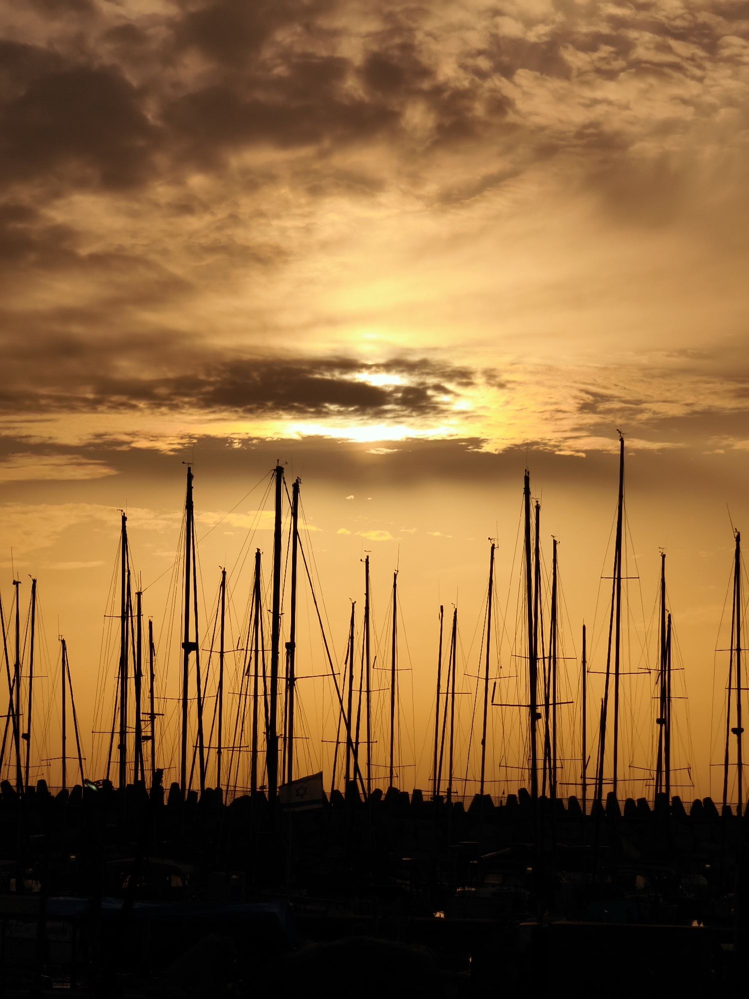 The image captures a vibrant sunset over a marina in Ashkelon, Israel, dominated by warm, golden, and orange hues. The scene presents a dramatic silhouette of numerous sailboat masts against the richly colored sky.
In the upper portion of the frame, the sky is filled with a dynamic display of clouds. Darker, more defined cloud formations are scattered across the top, contrasting with the brilliant golden light emanating from the setting sun, which is partially obscured by softer, illuminated clouds in the mid-sky. The sun's light casts a radiant glow, creating a striking backdrop.
Below the horizon, a dense array of sailboat masts stands in stark silhouette. These tall, slender structures, along with their intricate rigging, form a complex pattern of vertical and diagonal lines against the bright sky, indicating a bustling harbor filled with moored vessels.
The foreground is rendered in deep shadow, showing the dark shapes of the boats and the marina's infrastructure. A prominent breakwater, composed of dark, angular concrete structures, extends across the mid-ground. A notable detail confirming the location is a small Israeli flag visible flying from one of the boats or structures in the lower right, subtly illuminated by the residual light.
The photograph conveys a sense of tranquility and the beauty of dusk, with no specific human activity visible. The interplay of light and shadow creates a serene and atmospheric portrayal of the Israeli coast at sunset.