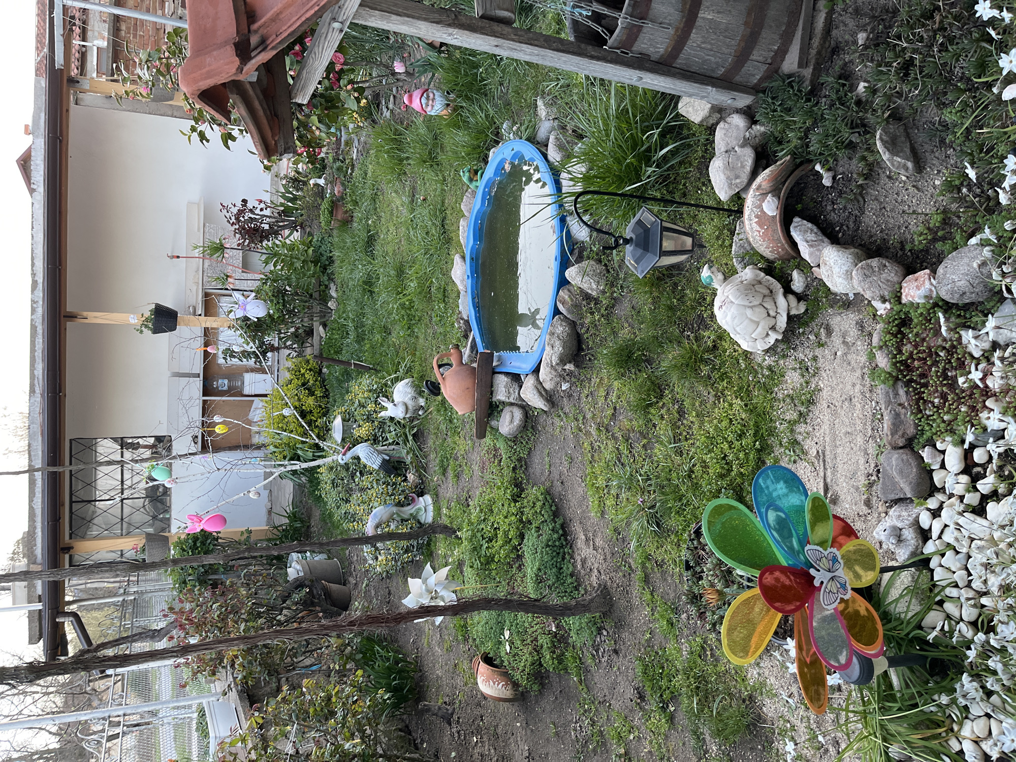 The image depicts a backyard in Karavelovo, Bulgaria. The yard is overgrown with grass, weeds, and various plants. Objects in the yard include a small blue plastic pond, a wooden barrel, garden gnomes, ceramic animal figures (turtle, stork, rabbit), a wind spinner with a butterfly sticker, decorative Easter eggs on a white tree, terracotta pots, and various rocks. The back of a house with windows is visible in the background. A wooden trellis and roof tile are present on the left.