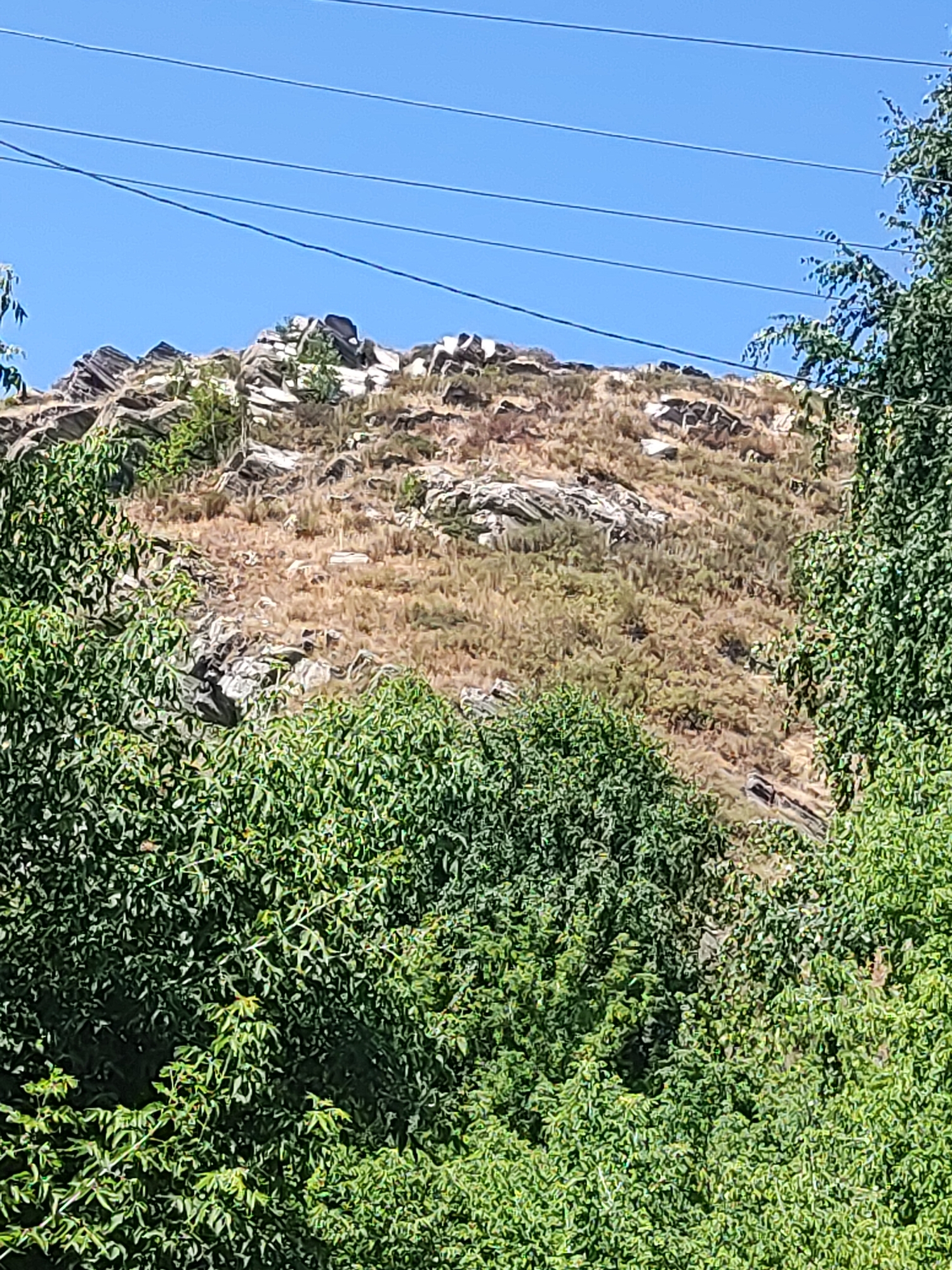 The image displays a rocky hillside sparsely covered with dry grass and a few green shrubs. The top of the hill is crowned with scattered large rocks and boulders. In the foreground, lush green trees with dense foliage dominate the lower portion of the frame, obscuring the base of the hill. Several parallel power lines stretch across the clear blue sky in the upper section of the image. The scene appears to be an outdoor, natural environment, likely on the outskirts of a city given the presence of power lines. There are no people or animals visible in the image, and no identifiable man-made structures are clearly discernible besides the power lines. The overall impression is one of a natural landscape with signs of human infrastructure.