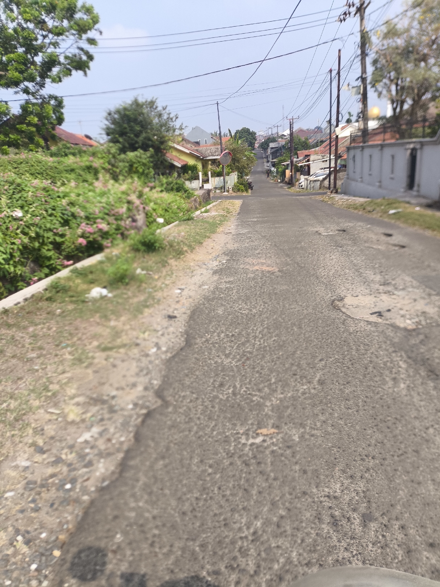 The image captures a rural, uphill road in Cilegon, Indonesia, under a clear sky. The road surface is asphalt and shows signs of wear, with visible potholes and patches. On the left side of the road, lush green foliage with pink flowers grows along a retaining wall. Scattered white plastic bags are visible on the grassy verge to the left of the road. The right side of the road is lined with houses, some with red-tiled roofs, and utility poles with numerous electrical wires crisscrossing overhead. A grey building with rectangular windows is prominent on the right. The scene suggests a residential area with a somewhat unkempt environment, evident from the presence of litter on the roadside. The perspective is from the road, looking uphill.