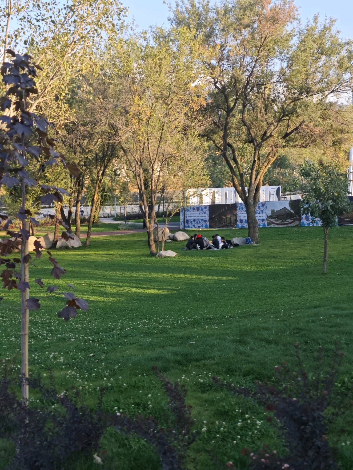 In the city of Almaty, Kazakhstan, this image captures a peaceful scene in a park on a sunny day. A group of six people are gathered on the grass, seated on a mat under the shade of a large tree. They appear to be casually conversing or relaxing. The park features lush green grass dotted with small white flowers, and several trees with varying foliage colors, suggesting the autumn season. Large rocks are strategically placed around the park. In the background, a decorative wall with murals and a white architectural structure are visible, suggesting an urban park setting. A young sapling stands to the right of the frame, adding to the greenery. The overall atmosphere is serene and offers a glimpse into a leisurely moment in Almaty.