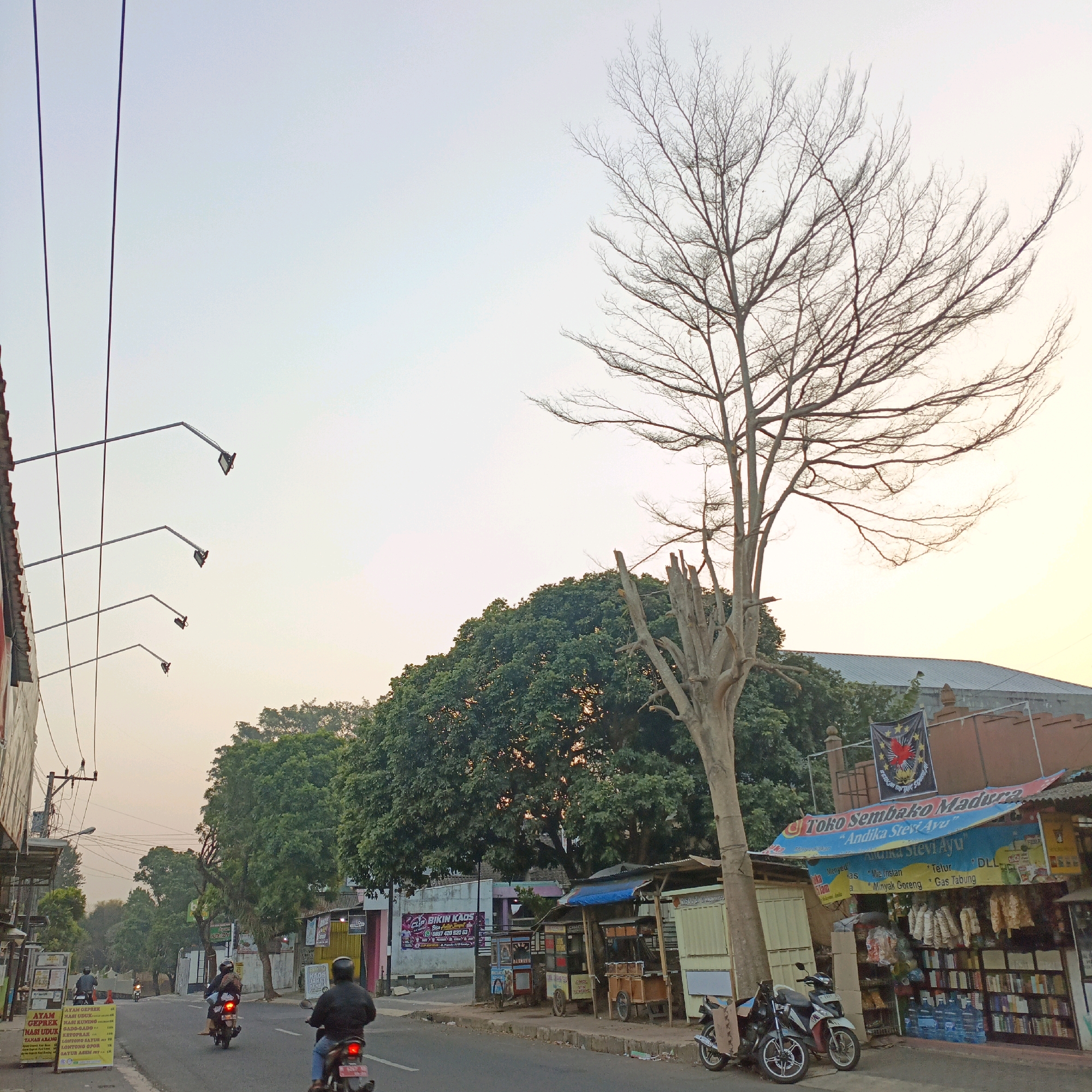 This is a photograph of a street scene in Salatiga, Indonesia. The image captures a road with several motorcycles and people. On the left side of the road, there are shops with signs and awnings, including a sign that reads "ATAM GEPREK". There are also streetlights mounted on poles. A large, bare tree with intricate branches stands prominently in the center of the frame, contrasting with a lush green tree behind it. In the background, there are buildings and more trees. The sky is a pale, hazy color, suggesting either early morning or late afternoon light. A banner with a black and red emblem is visible hanging above a shop that says "Toko Sembako Madura".