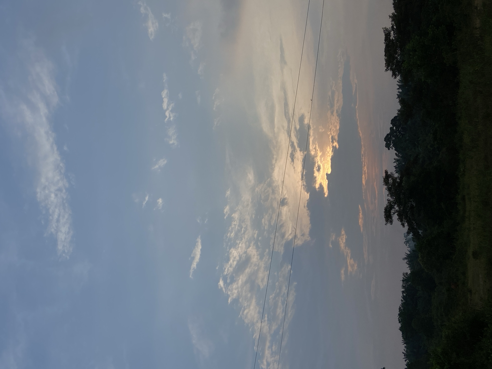 The image shows a dusk sky over a dense forest in Sekar Mawar, Indonesia. The sky is filled with a mix of light and dark clouds, with the sun peeking through in the center, casting a warm glow. Two thin wires stretch horizontally across the frame, likely power lines, with a small bird perched on the lower one. The foreground is dominated by a dark silhouette of lush green trees and vegetation, suggesting a natural, undeveloped area. The overall impression is one of serene natural beauty at the end of the day.
