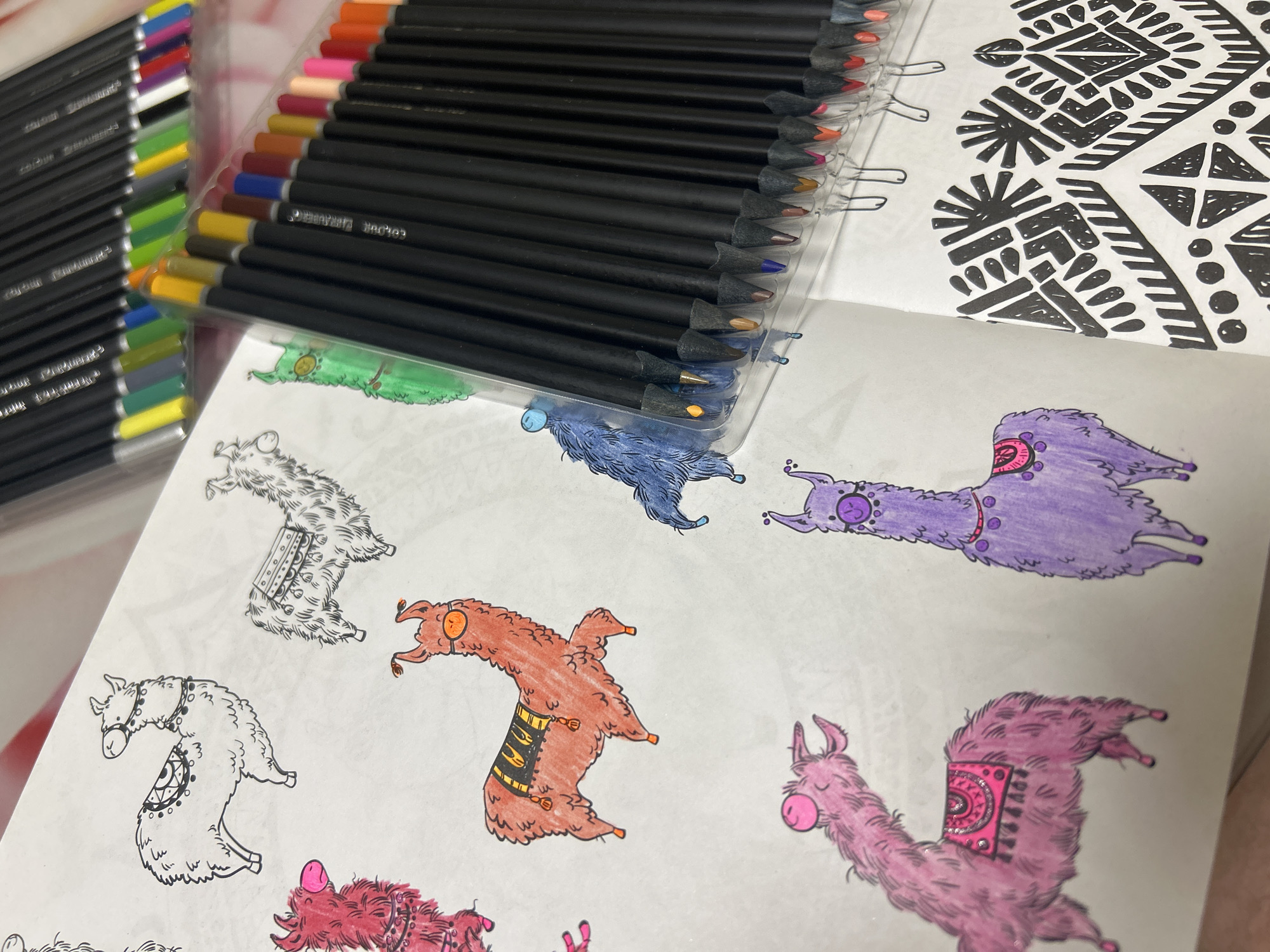 An overhead view captures an open coloring book filled with whimsical llama illustrations, alongside two sets of coloring pencils. The scene suggests an ongoing creative activity in an indoor setting, likely a desk or table.
The primary set of coloring pencils, prominently displayed in the center-right, features black barrels with a wide array of colored tips, including vibrant reds, oranges, yellows, greens, blues, purples, and browns. Text visible on these pencils reads "COLOUR TECRERUS". A second set of pencils, positioned to the left, also offers a variety of colors.
The coloring book's main page showcases multiple llama figures. Several are partially or fully colored in vivid hues: one llama is purple with pink accents, another appears in a reddish-brown with a black and yellow patterned blanket, and a pink llama is adorned with a detailed pink and silver glittery blanket. A blue llama is also partly visible. Several llamas on the left side of the page remain uncolored, outlined in black, highlighting the work in progress.
Above the llama illustrations, a section of the book displays an intricate black-and-white geometric pattern, offering a contrast in design style. No specific time of day or external location cues are discernible from the image itself.