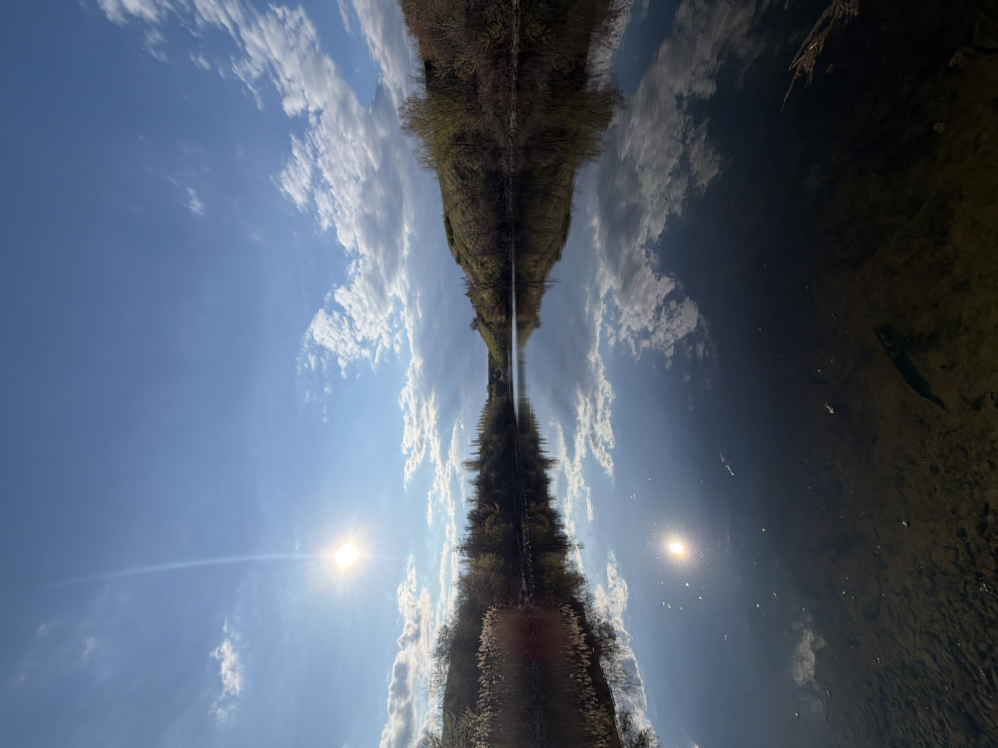 The image shows a reflection in water, likely in Kamyshin, Russia. The top half of the image depicts a blue sky with scattered white clouds and the sun. The bottom half shows the reflection of the same sky and clouds in a body of water. A line of trees and foliage runs along the center of the image, also reflected in the water. The overall impression is of a mirrored landscape.
