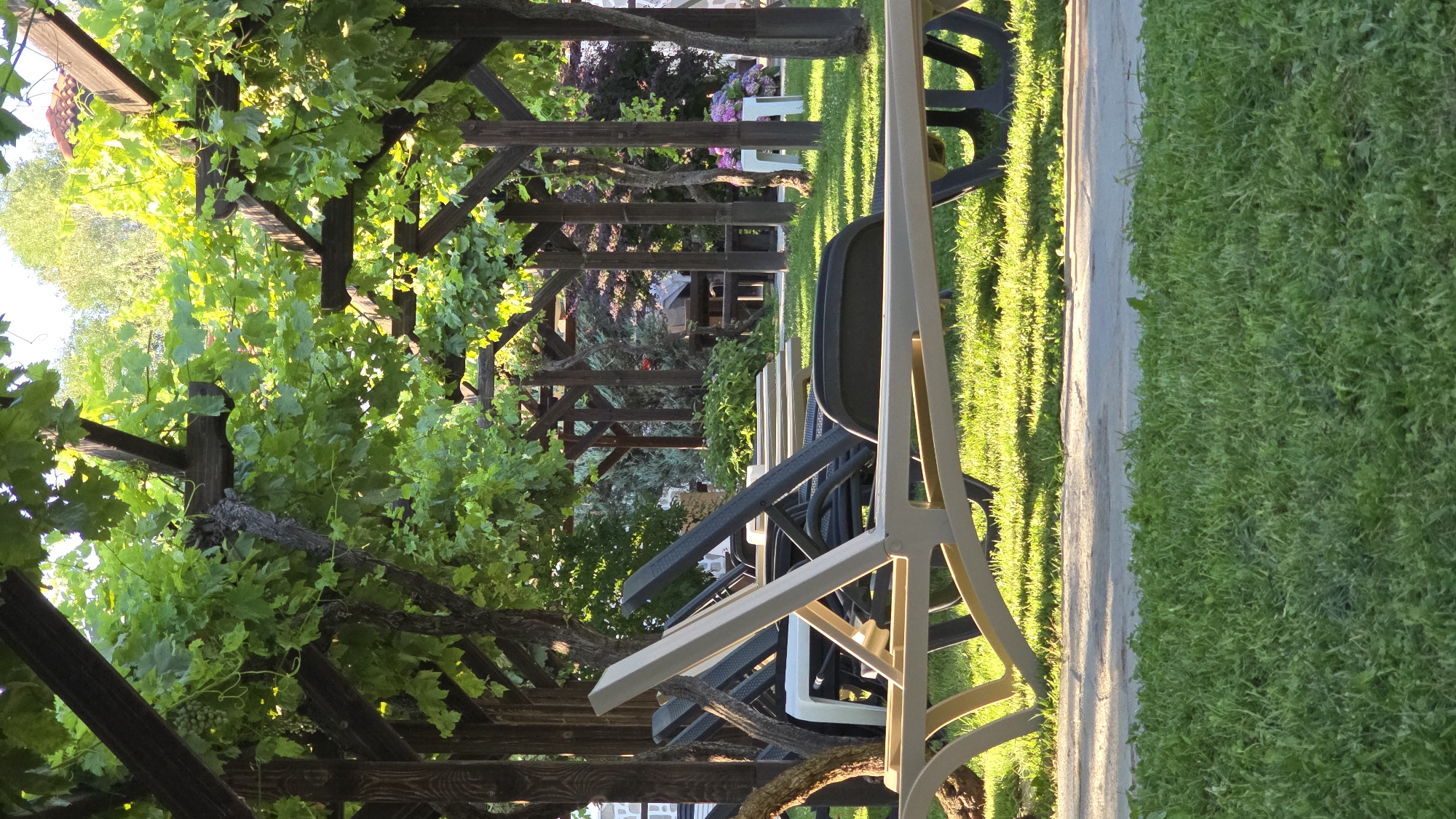 In Krasnovo, Bulgaria, a shaded outdoor seating area is depicted. A wooden pergola, covered with green grapevines, extends across the scene, creating dappled sunlight on the meticulously manicured lawn. Several lounge chairs are arranged in rows beneath the pergola, some empty and some occupied by dark, weathered cushions. The chairs are made of light-colored plastic and are staggered, facing away from the viewer. In the background, a cluster of flowering bushes with purple blossoms adds a touch of color to the verdant landscape. A paved pathway runs along the foreground, separating the lawn from another patch of grass. The overall impression is one of a serene and well-maintained outdoor space, likely intended for relaxation and leisure.