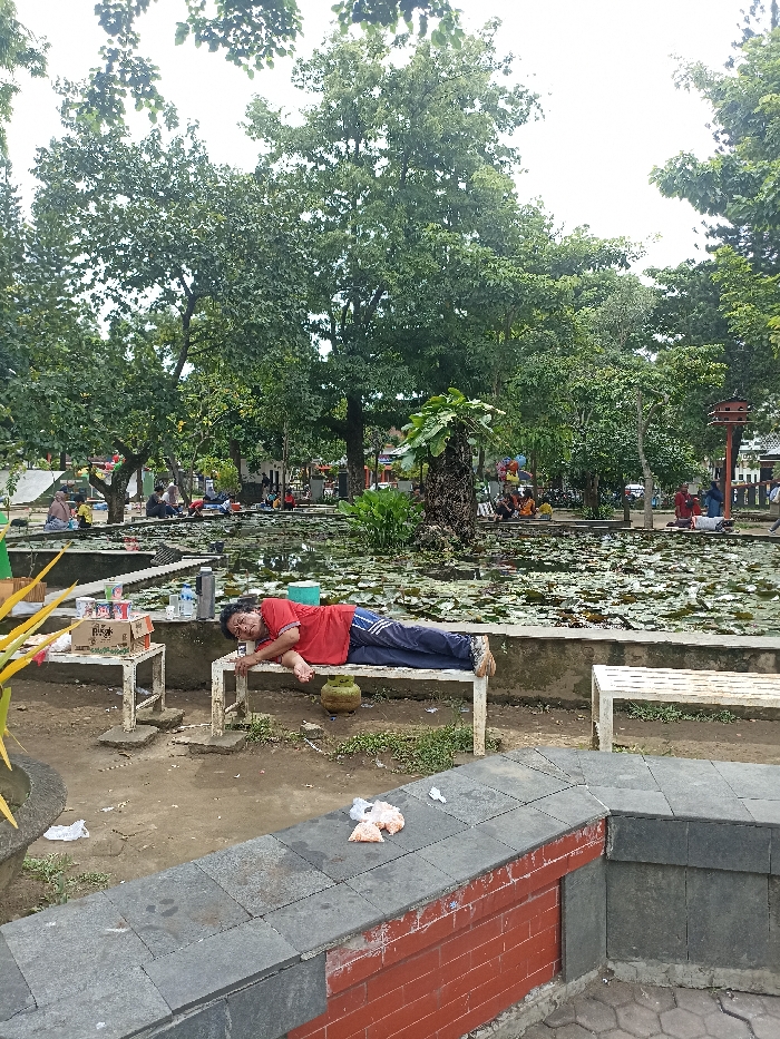 The image depicts a tranquil park scene in Tulungagung, Indonesia, during daytime under an overcast sky. In the foreground, a man wearing a red t-shirt and blue track pants is seen resting or sleeping, lying face down on a white metal bench. His bare feet are visible at one end of the bench, and a silver thermos bottle rests near his head. Beneath his bench, there is a green ceramic pot and a coconut.
Adjacent to the man's bench, to the left, is another white metal stand holding various items, including plastic bottles and boxes. One box is clearly labeled "PISANG." On the ground around the benches, there are some scattered pieces of litter and a white plastic bag. In the immediate foreground, a low wall or planter constructed from red bricks and dark grey tiles features small bags of what appears to be discarded snacks.
Behind the man and the benches, a wide pond covered with numerous green water lilies or lotus leaves spans the mid-ground. Beyond the pond, the park is populated by other individuals who are relaxing, sitting on the ground, or walking. The background is dominated by a canopy of lush green trees, providing shade. A prominent tree stump topped with a large green plant stands near the pond, and to the right, a wooden birdhouse-like structure on a pole is visible. The scene portrays a casual, leisurely atmosphere in a public green space.
