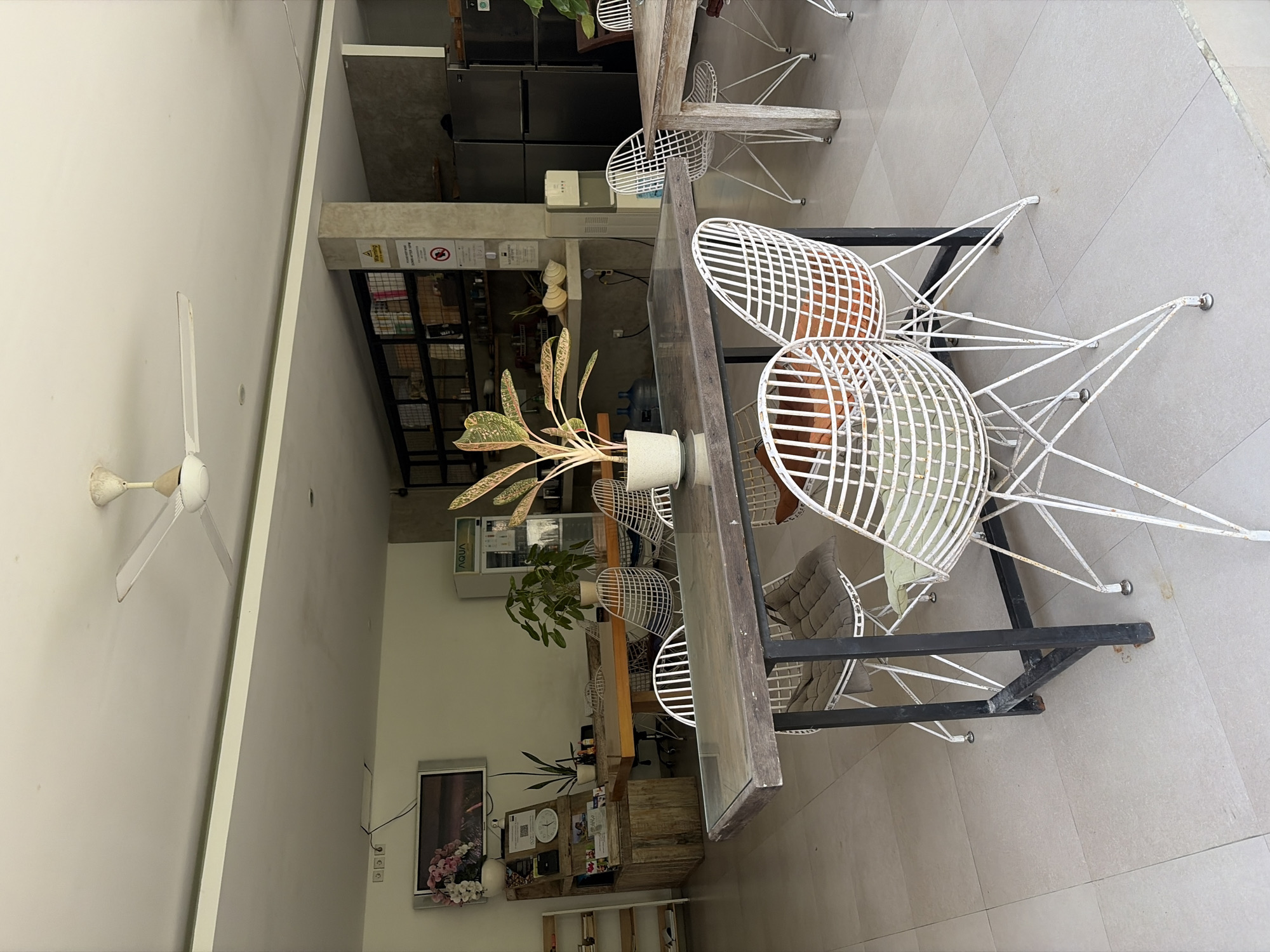 This image depicts an indoor seating area, likely a cafe or common space, with a focus on a dining table and chairs. The scene is brightly lit by natural light. In the foreground, a dark-topped rectangular table with a metal frame is set with several white wire chairs. One chair in the foreground has a light green cushion, while another appears to have an orange cushion. The table legs are black metal, and the floor is tiled with light-colored square tiles.
In the background, another wooden table is visible, also with chairs around it, including some white wire chairs and others with a more traditional design. Several potted plants are placed around the area, with a particularly vibrant one with colorful leaves on the foreground table. To the left, a television is mounted on the wall above a rustic wooden display unit containing various items, including what appear to be pamphlets and a clock. Further back, a water dispenser and large stainless steel refrigerators are situated against a wall. Shelving units are visible on the back wall, filled with books and other objects. A ceiling fan is mounted overhead. The overall impression is one of a functional and somewhat casually furnished communal space. Based on the context, this image is located in the city of Mengwi, Indonesia.