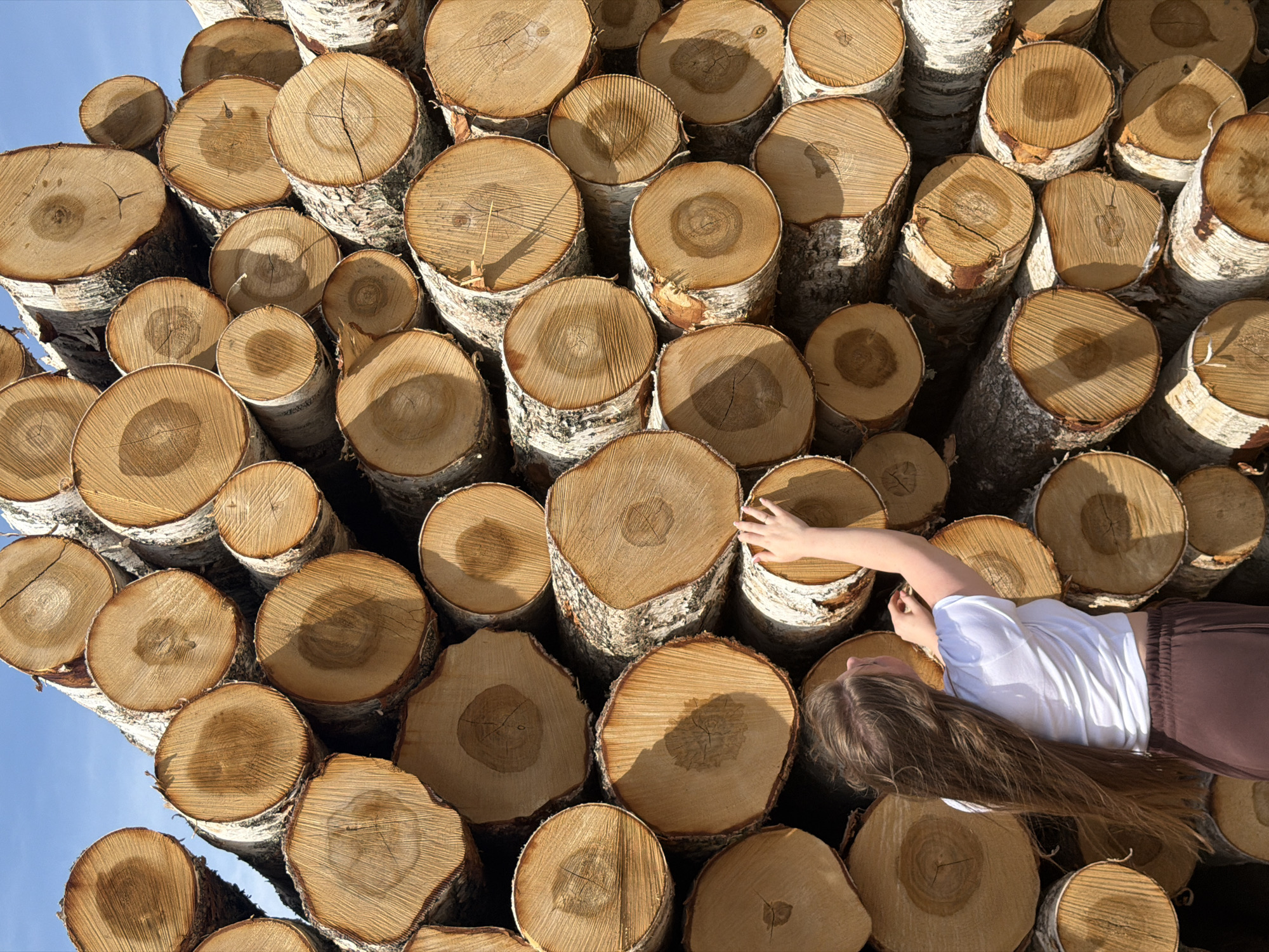A high-angle, outdoor shot shows a stack of cut birch logs filling most of the frame. The cross-sections of the logs are light brown with visible growth rings. The bark is white with dark markings. A young woman is lying on top of the logs. She wears a white t-shirt and brown pants. Her long brown hair spreads across the logs. Her right arm is extended, and her hand rests on one of the logs. The sky is visible in the upper left corner, a light blue. The location is specified as Ural'skoe, Russia.