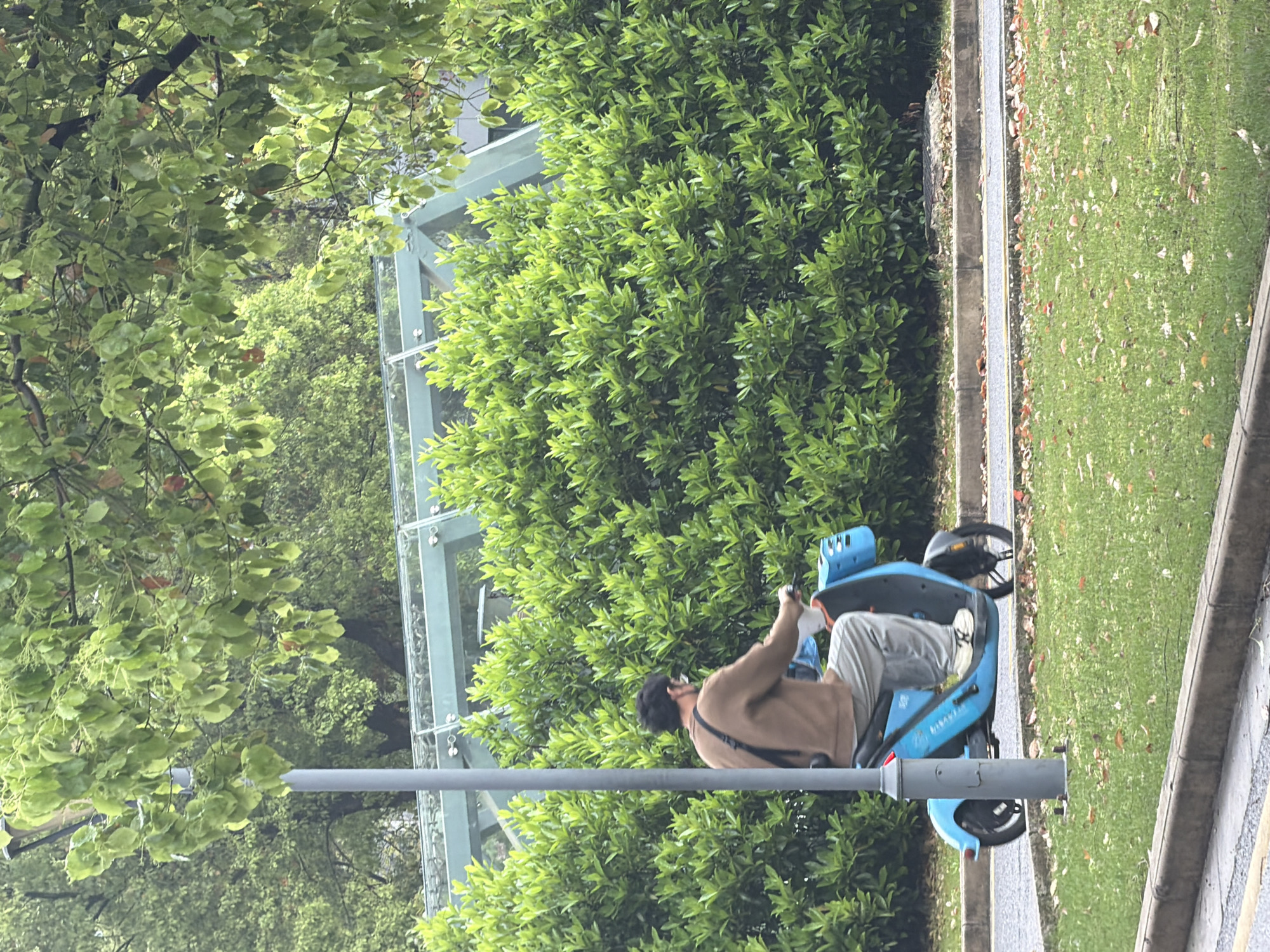 A person with a brown shirt and gray pants rides a light blue vehicle with two wheels on a gray path in Jiangning District, China. A bush and a glass structure are behind the person. There is green grass on either side of the path. There is a gray pole in front of the person.