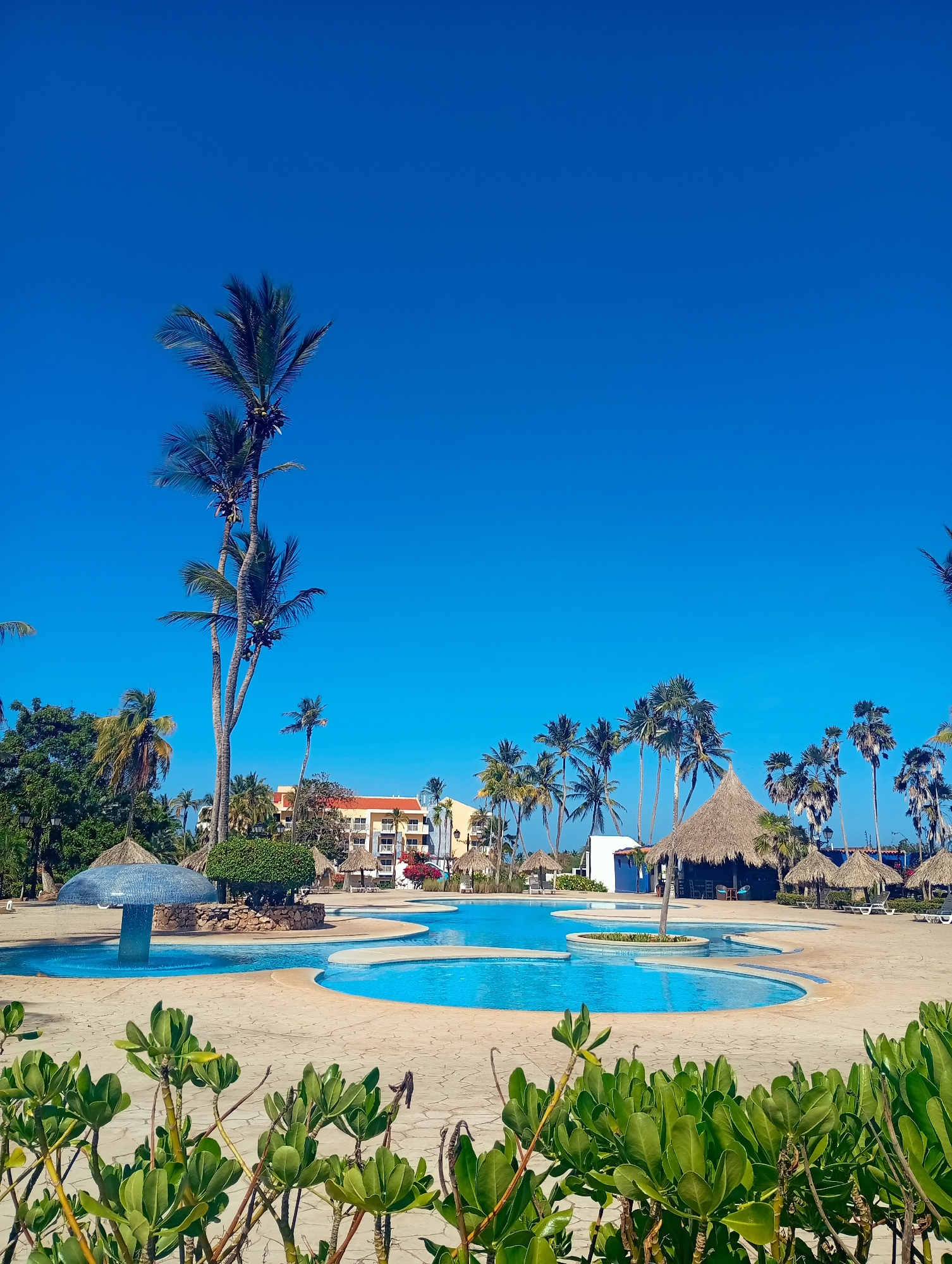 The image depicts a resort swimming pool in Playa El Agua, Venezuela, on a bright, sunny day. The pool is a series of interconnected circular pools with light blue water. The surrounding area is paved in a beige-colored stone. Various palm trees are scattered around the pool area, some tall and slender, others shorter and bushier. Several thatched-roof structures, likely serving as sun shelters or bars, are present. In the background, a multi-story hotel building with a red-tiled roof and light-colored walls is visible. In the foreground, lush green shrubbery borders the lower edge of the frame. A unique, mushroom-shaped water feature with a tiled surface stands near the pool. The sky is a clear, vivid blue with no clouds. There are no people in the image.