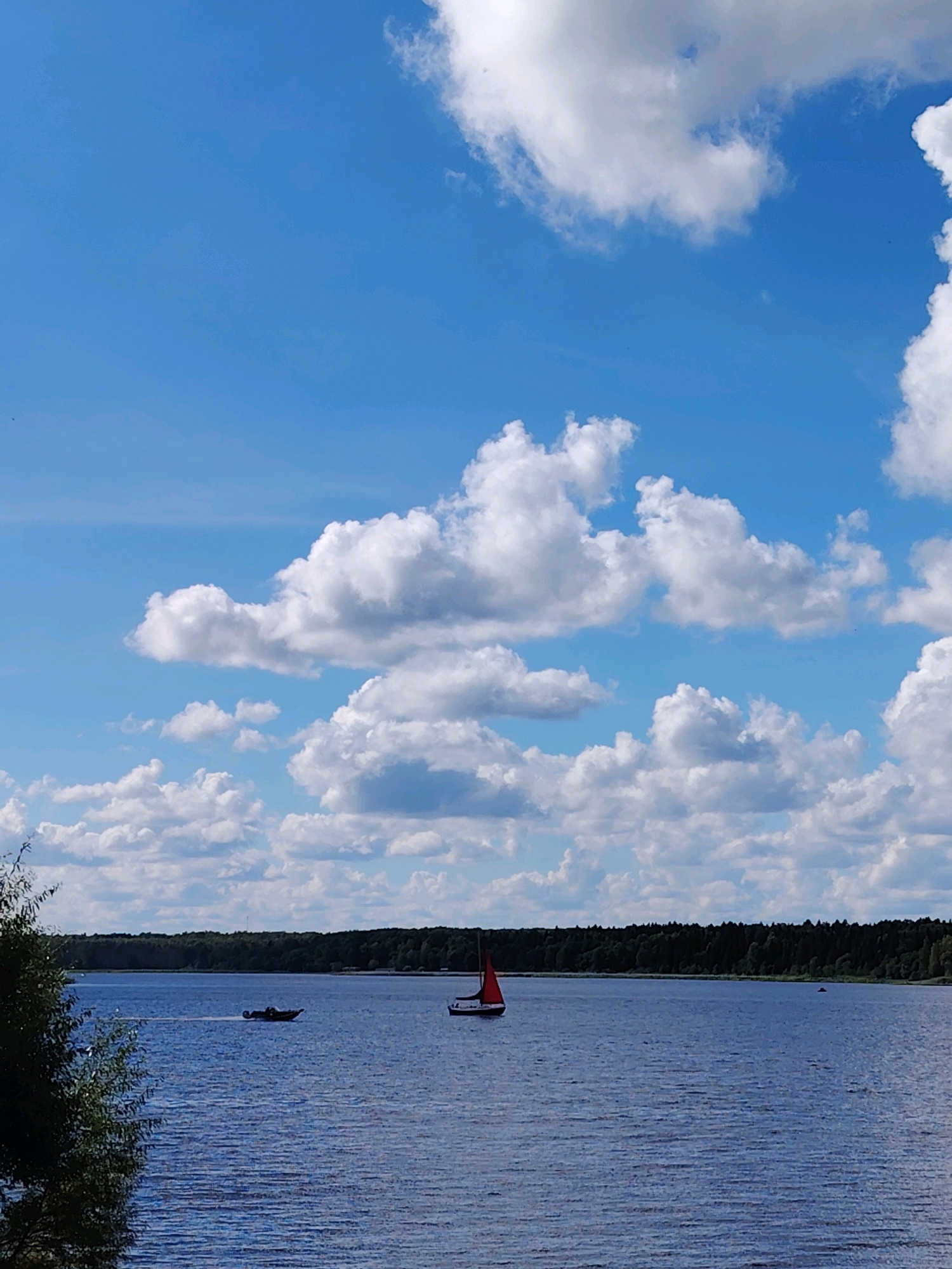 This is a landscape photograph of a body of water, likely a lake or large river, under a bright blue sky with scattered white cumulus clouds. The water is a deep blue and appears slightly rippled. In the distance, a dark green tree line forms the horizon. Two boats are visible on the water. To the left, a small, dark motorboat is moving, leaving a faint wake. To the right of the motorboat, a sailboat with a red sail is also moving. The foreground on the left side of the image shows the edge of lush green foliage. This scene is consistent with the natural landscape surrounding Konakovo, Russia, a city known for its location on the Ivankovo Reservoir, part of the Volga River system.
