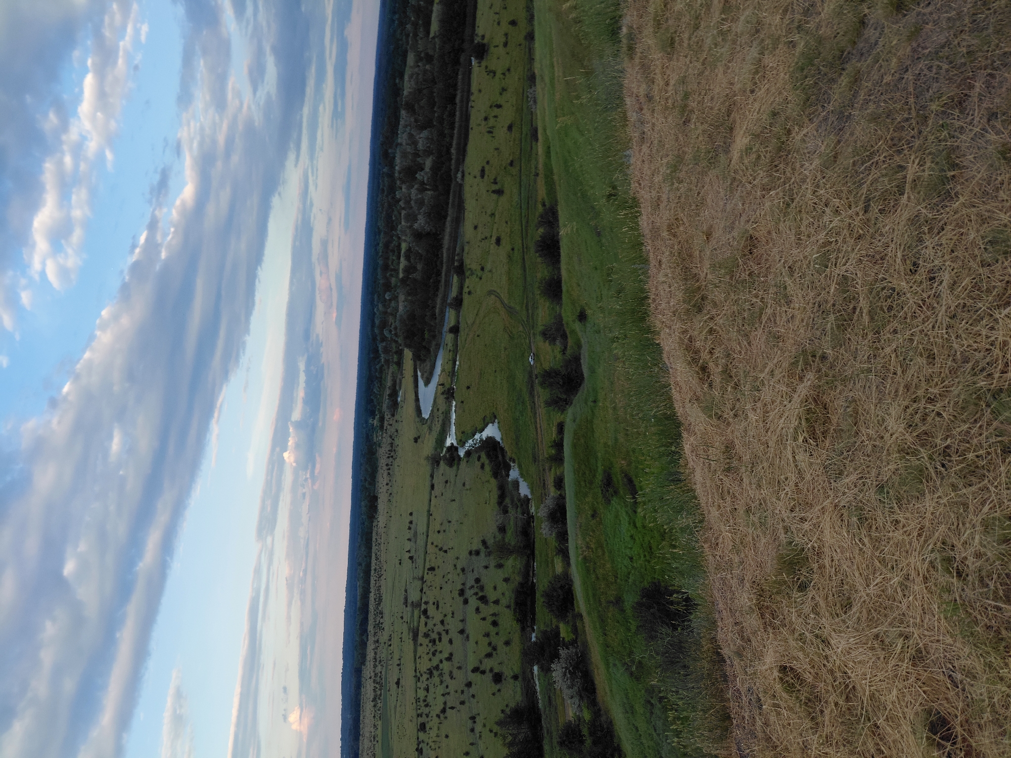 An aerial, medium shot captures a serene landscape with a winding river flowing through green fields under a cloudy sky. The foreground is dominated by dry, golden grass on a slight incline, with patches of green grass visible. Beyond this, the terrain slopes down to a vast expanse of green fields dotted with dark bushes and trees. A winding river meanders through the fields, bordered by a dense forest in the middle ground. The sky is a soft blue, filled with scattered, elongated white and grey clouds, suggesting either early morning or late evening. No people or specific urban landmarks are visible.