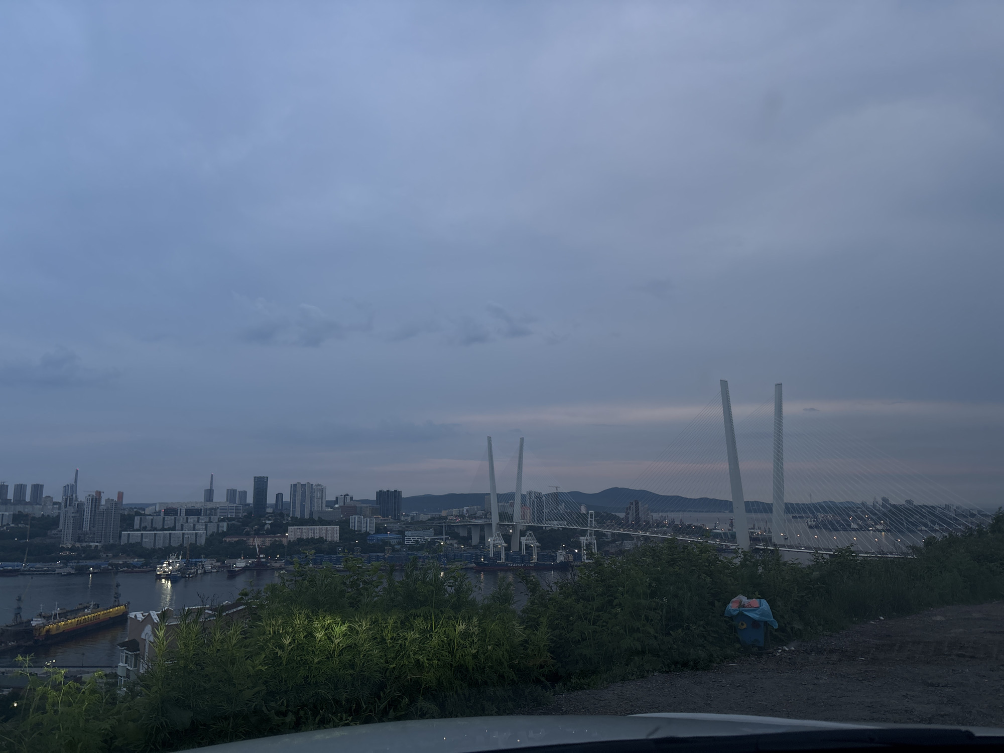The image captures a panoramic view of Vladivostok, Russia, at dusk or dawn. In the foreground, lush green bushes and a patch of dirt road are visible. A car's hood is partially in view at the bottom of the frame. In the mid-ground, a cityscape with numerous buildings of varying heights stretches across the horizon. A large body of water, likely a bay or harbor, is present, with several ships and vessels docked or in transit. A prominent cable-stayed bridge, identifiable as the Golden Bridge, dominates the right side of the mid-ground, its tall white towers and suspension cables silhouetted against the twilight sky. The sky itself is a muted blue-gray, with hints of soft pink and orange near the horizon, suggesting the transition between day and night. A blue trash receptacle with a colorful lid is situated on the right side of the frame, nestled amongst the vegetation. The overall atmosphere is tranquil and slightly overcast.