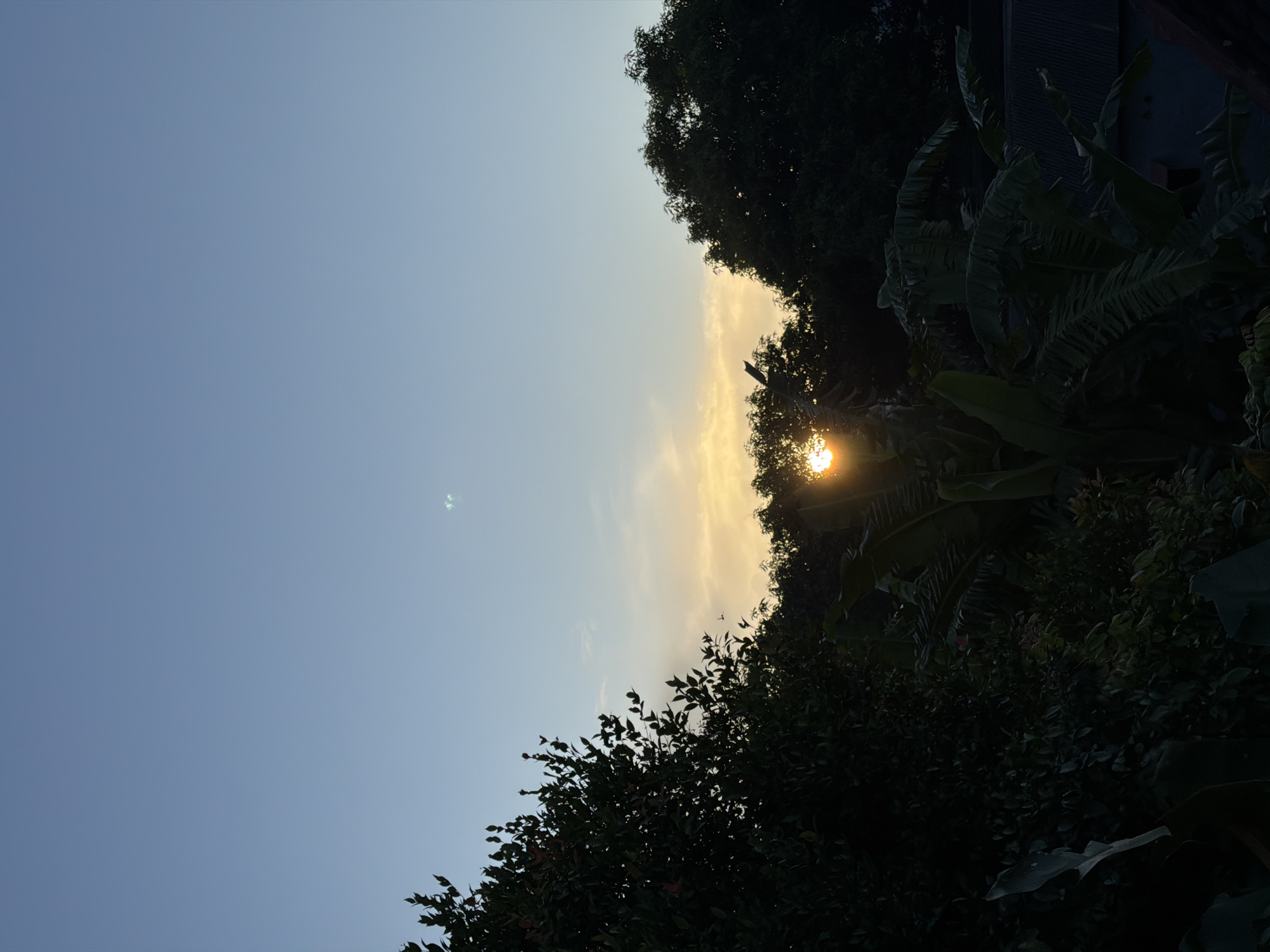 The image shows a view of the sky at sunset, partially obscured by trees and foliage. The sky transitions from a light blue to a yellowish-orange near the horizon, where the sun is setting. The sun is positioned between the trees, causing a halo effect. The foliage in the foreground and right side of the image is dark green, suggesting dense vegetation. The location is indicated as North Kuta, Indonesia. No people are visible. There are no identifiable interactions occurring in the scene. The environment appears to be a tropical or subtropical setting.