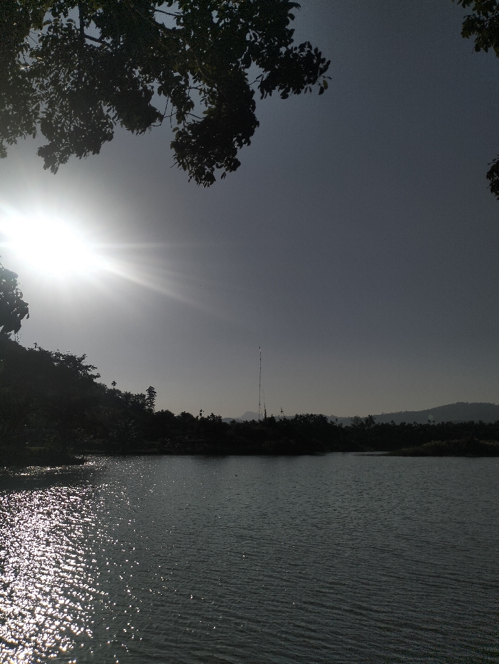 Sunlight glints off the rippled surface of a lake, framed by silhouetted foliage above. The landscape is muted, the bright sun bleaching the sky and causing dark shadows. Trees line the opposite shore, punctuated by a tall antenna structure. A distant mountain range provides a hazy backdrop. The overall effect is one of hazy brightness, with the sun as the focal point.