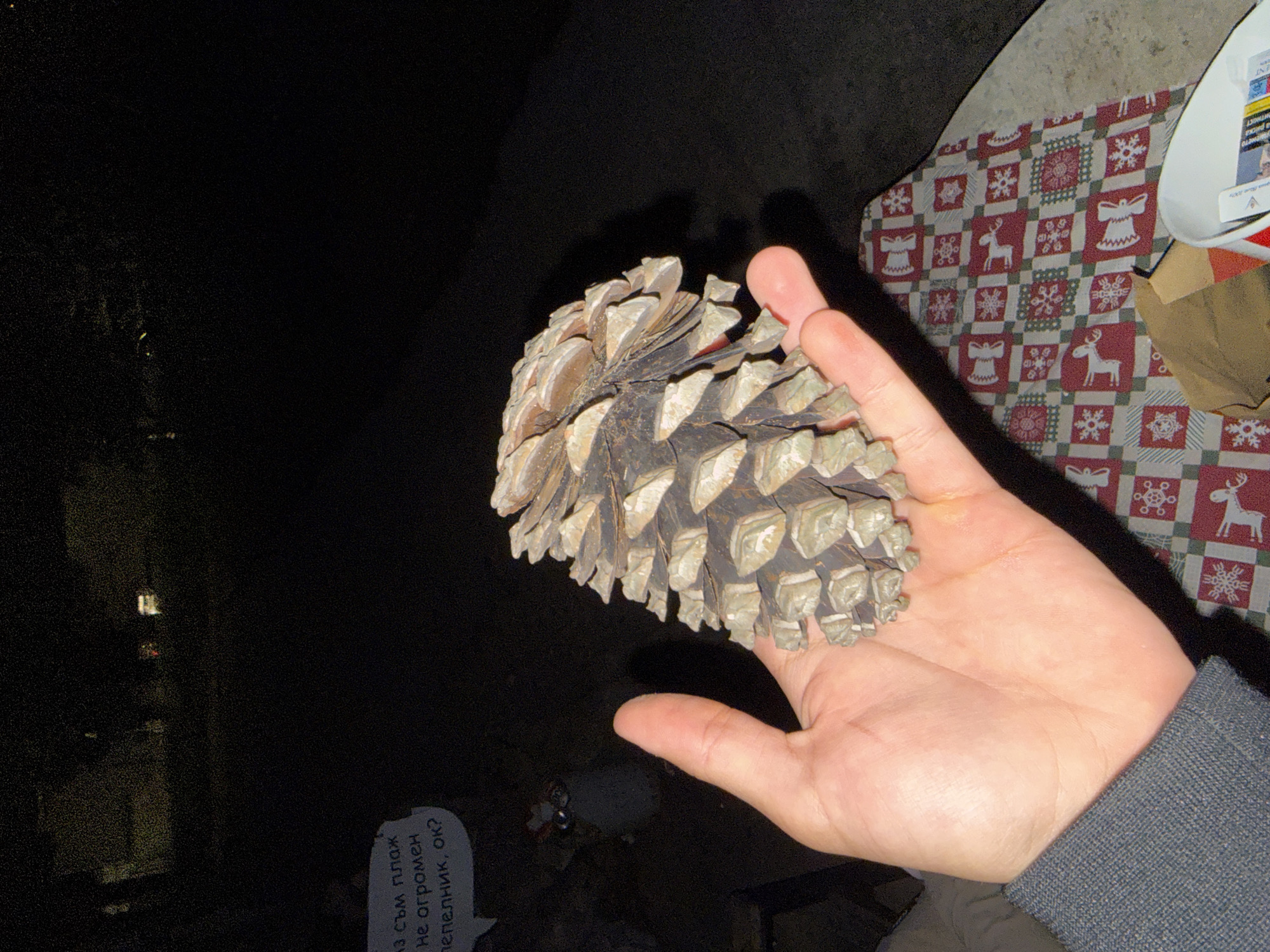 A low-light photograph, likely taken at night, depicts a light-skinned hand holding a large, mature pinecone against a predominantly dark background in the city of Varna, Bulgaria. The hand, wearing a grey-blue knitted sleeve on the wrist, extends from the lower left, cupping the pinecone which features numerous prominent, irregularly shaped scales with dark brown bases and lighter, greyish-tan tips.
Below the hand, a table covered by a Christmas-themed tablecloth is visible, characterized by a repeating pattern of red, white, and green squares containing motifs of reindeer, snowflakes, and bells. To the lower right, a portion of a white container holding various printed materials, possibly papers or magazines, rests on the tablecloth.
In the blurred mid-ground to the left, a white speech bubble contains Cyrillic text which translates to "I AM A BEACH. NOT A HUGE ASHTRAY, OK?". Below this speech bubble, a small, blurry white figurine with two dark, prominent circular features, possibly eyes, is discernible. The upper background is extremely dark, with only a few faint, distant light sources barely visible. No other individuals are present in the frame.