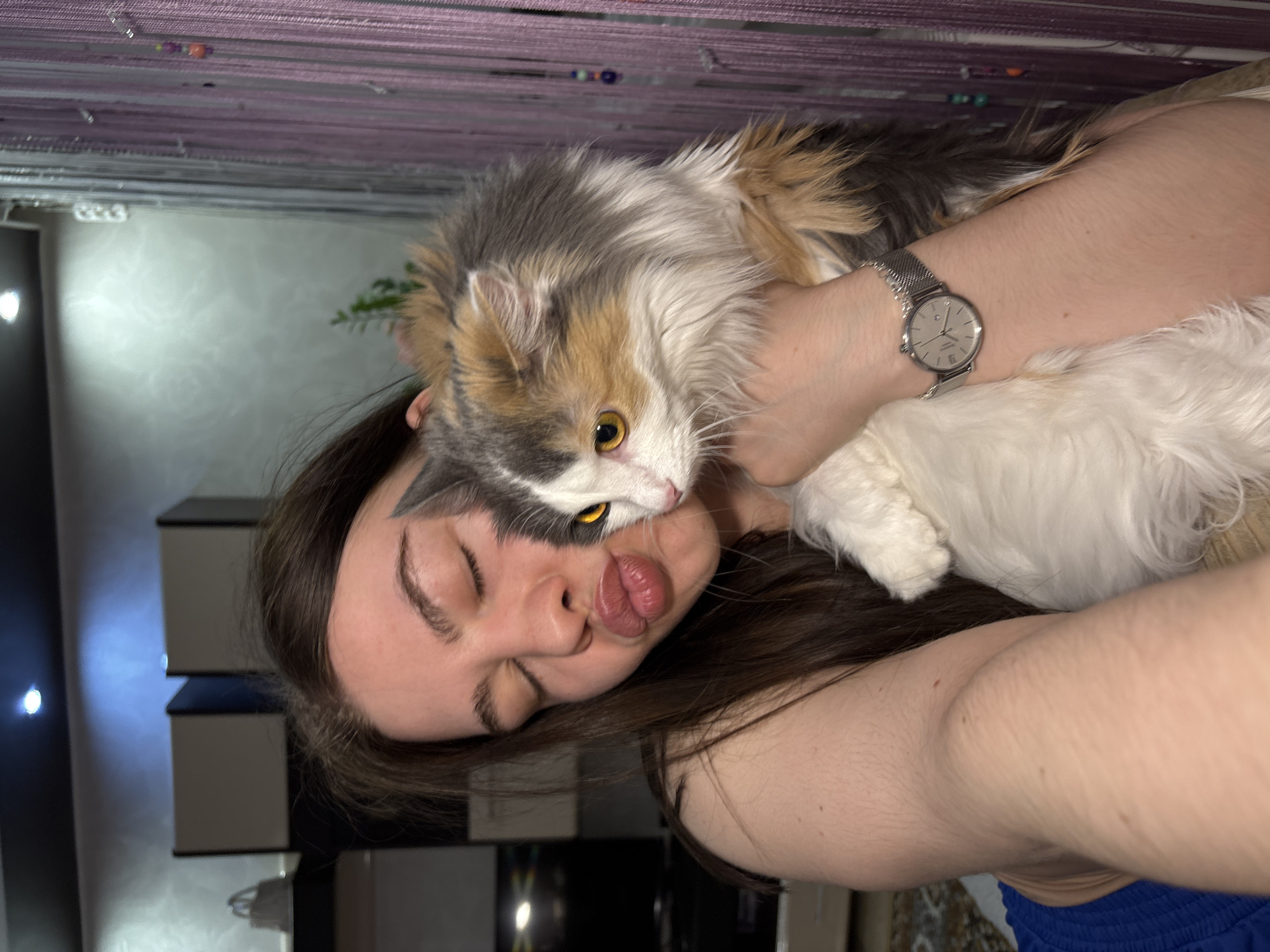 A rotated close-up captures a woman holding a fluffy calico cat against her cheek. The woman has dark brown hair and is wearing a silver wristwatch. The cat has yellow eyes and a mix of white, gray, tan, and brown fur. The background shows a portion of a room interior with light-colored walls, a dark-colored cabinet, and what appears to be a beaded curtain. There is not enough information to determine if this image was taken in the city of Perm, Russia.