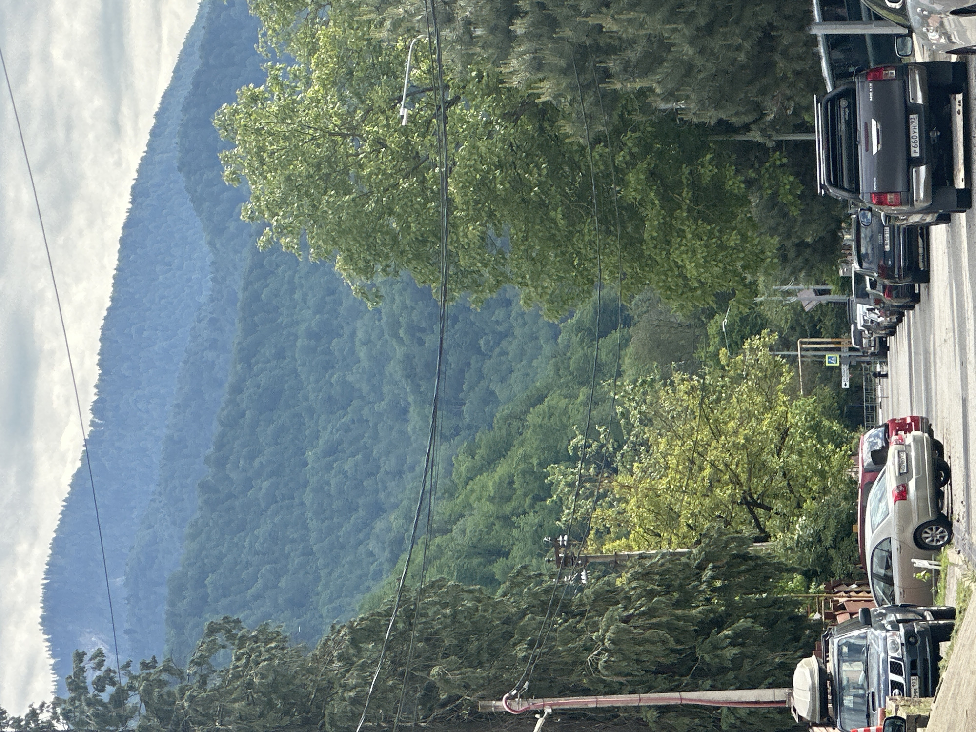 The image shows a street scene in Krasnaya Polyana, Russia, with a backdrop of a forested mountain. Several cars are parked along the right side of the road. Utility poles and wires are visible, running along the roadside and slightly obscuring the view of the mountain. The vegetation is lush and green, indicating a temperate climate. The mountain's slopes are densely covered with trees. The sky is overcast with clouds. A pedestrian crossing sign is visible on the right side of the road.