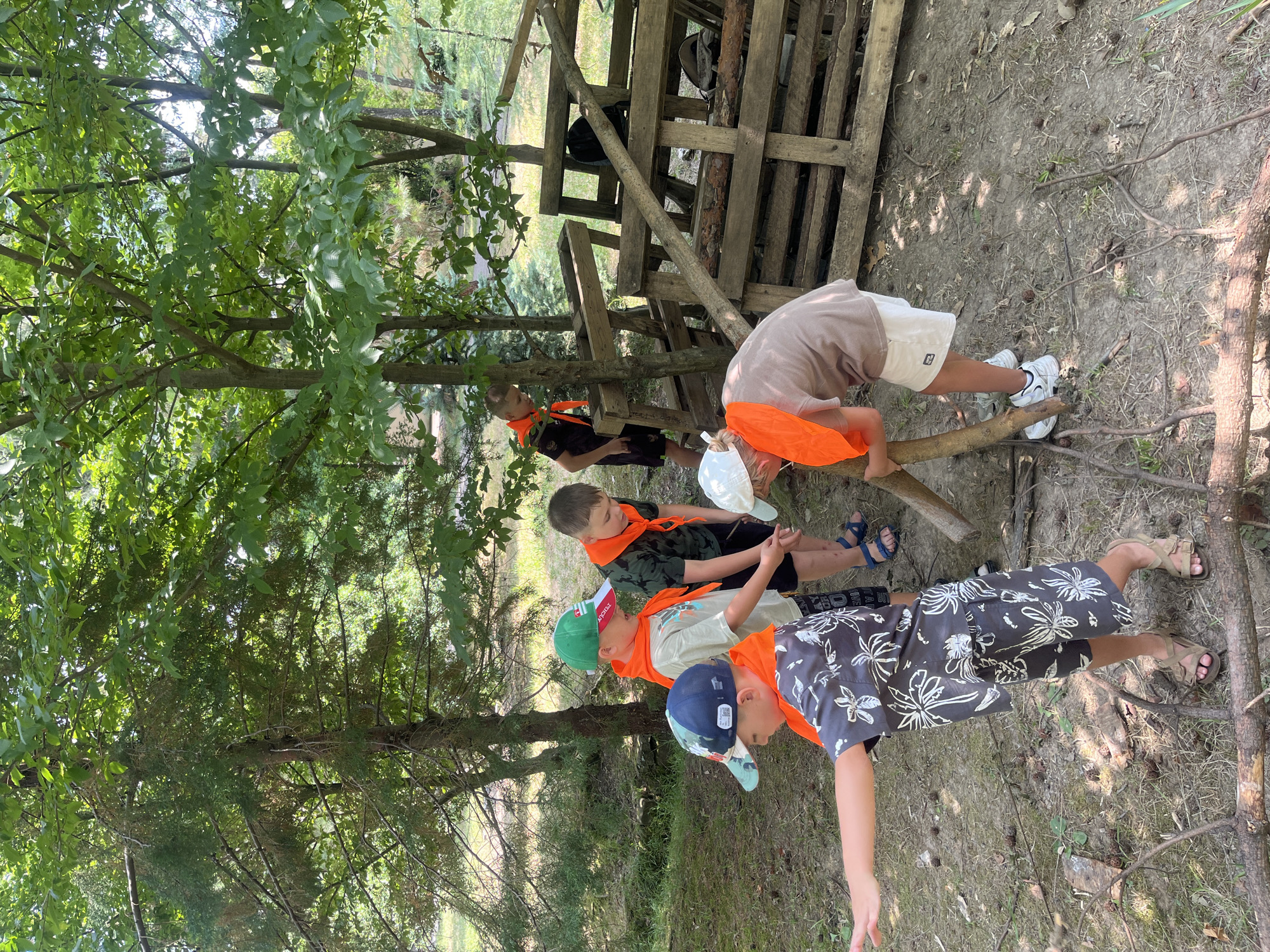 Five young boys, dressed in casual summer clothing and orange bandanas, are engaged in an outdoor activity in a wooded area. The boys are wearing hats, and some are wearing shorts and t-shirts. One boy in the foreground is wearing a dark floral-patterned shirt and shorts. Another boy in the center is wearing a light-colored t-shirt and dark shorts. Two other boys are visible in the background. The scene appears to be a campsite or a nature area, with trees and undergrowth surrounding the children. There is a wooden structure, possibly a shelter or fort, made of pallets and logs, in the background. The ground is covered with dirt, fallen leaves, and small branches. The lighting suggests it is daytime, with sunlight filtering through the trees. The overall atmosphere appears to be one of playful exploration and teamwork. The provided location of Sochi, Russia, is not discernible from the visual information in the image itself, as there are no specific landmarks or contextual cues to indicate this location.