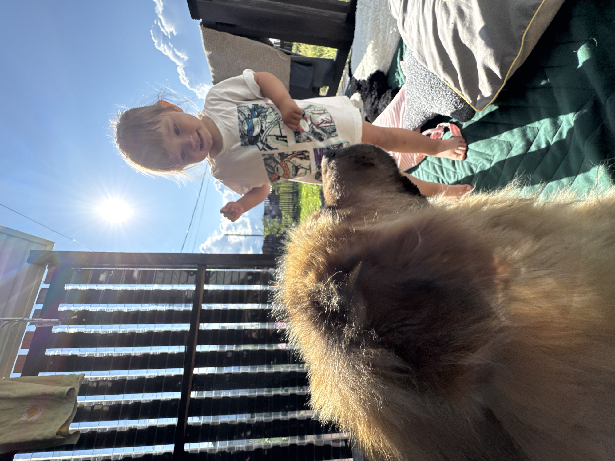 A toddler stands on a green quilted mat in front of a wooden fence. The child wears a white t-shirt with cartoon characters and has light brown hair. The sun is bright, creating lens flare. A large, fluffy dog with golden-brown fur is in the foreground, facing the child. In the background, there is a blue sky with clouds, and some greenery. This image was taken in Kempelevo, Russia.