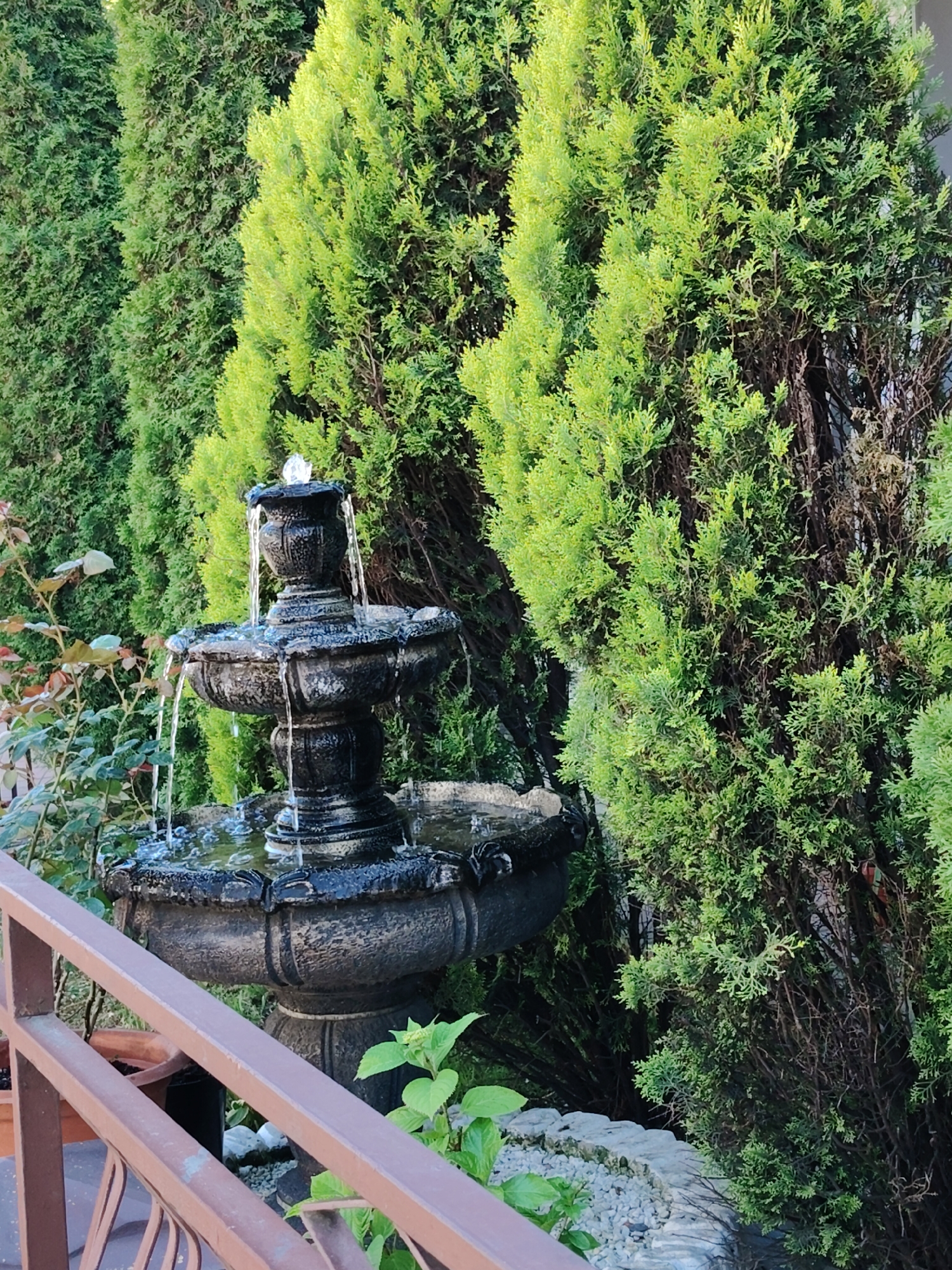 The image depicts an outdoor scene featuring a tiered fountain with water cascading down. The fountain is dark in color and appears to be made of stone or concrete. It is situated amongst lush green foliage, primarily composed of tall evergreen trees that form a dense backdrop. To the left of the fountain, some rose bushes with reddish leaves are visible. In the foreground, a portion of a rusty-brown railing is present, suggesting this might be a viewing area or walkway. The ground around the fountain is covered with small white pebbles. The overall impression is of a serene garden or park setting. The image's metadata indicates it was taken in the city of Sochi, Russia, at a resolution of 3072x4096 pixels. There are no people or animals visible in the frame, and no specific actions or interactions are depicted.